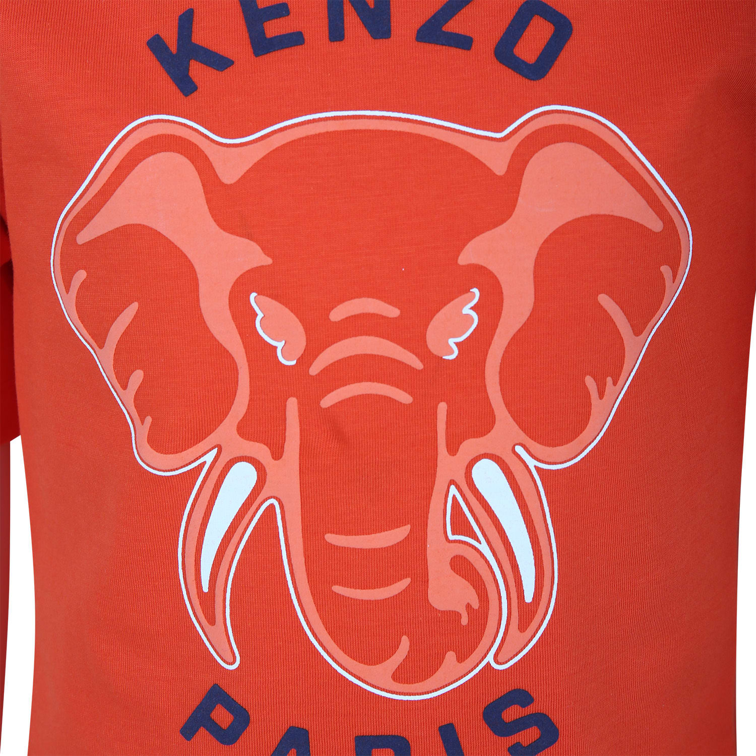 Shop Kenzo Orange T-shirt For Boy With Elephant