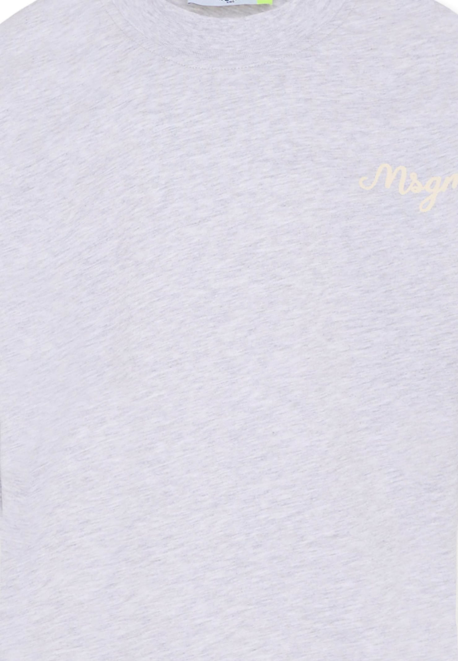 Msgm Grey T-shirt For Boy With Logo In Purple