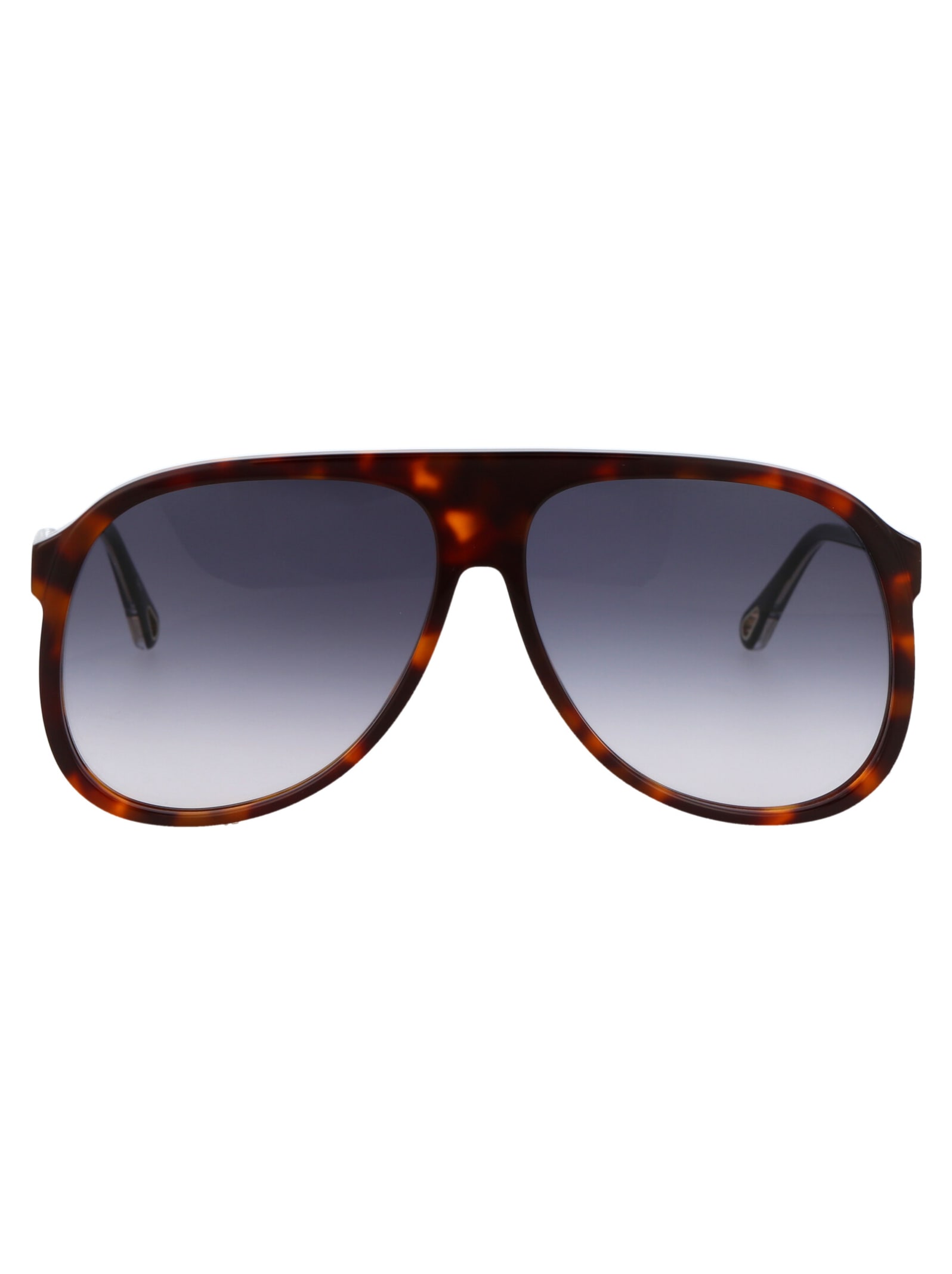 Chloé Eyewear Ch0128s Sunglasses