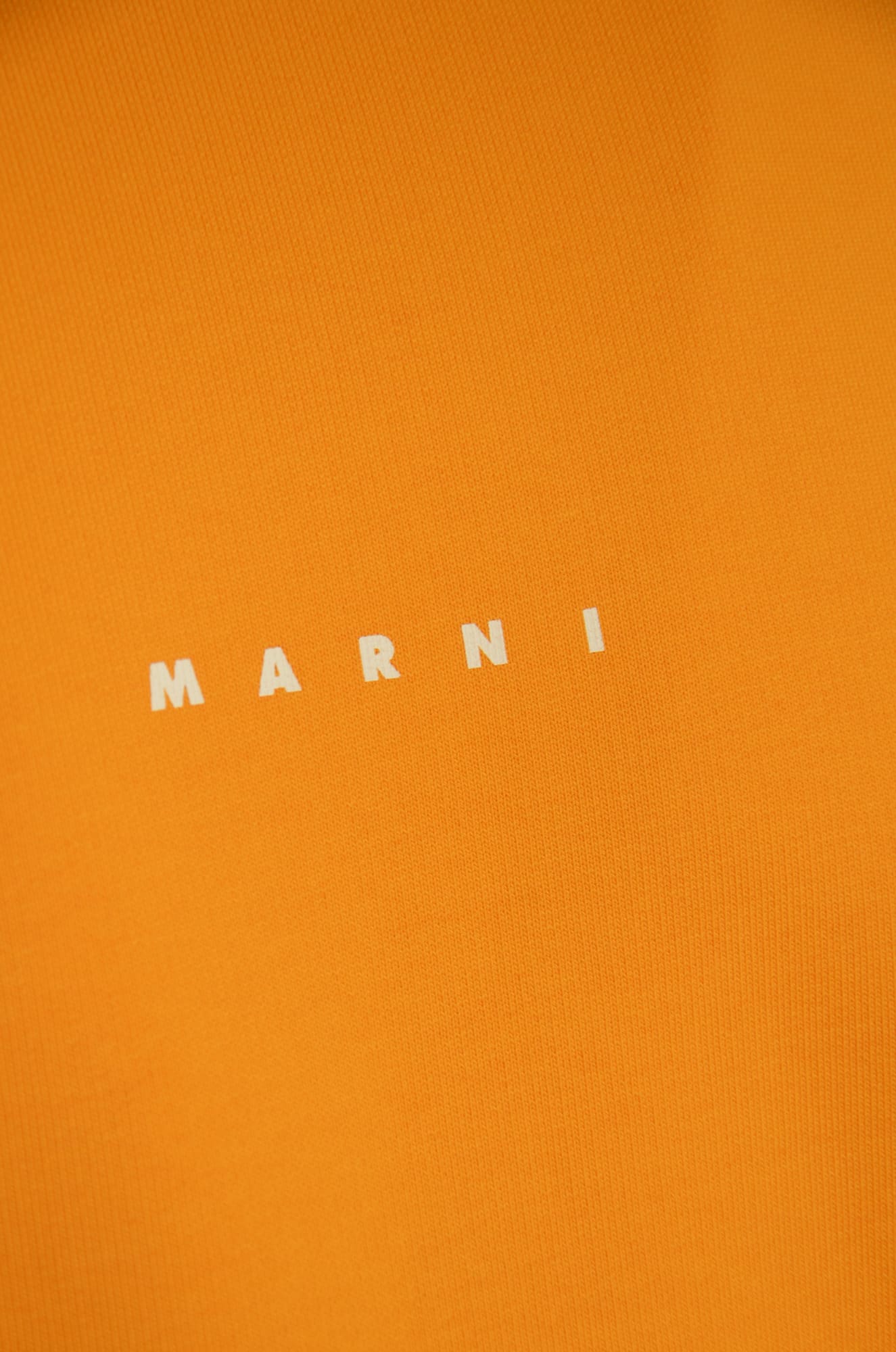 Shop Marni Logo Organic Sweatshirt In Light Orange