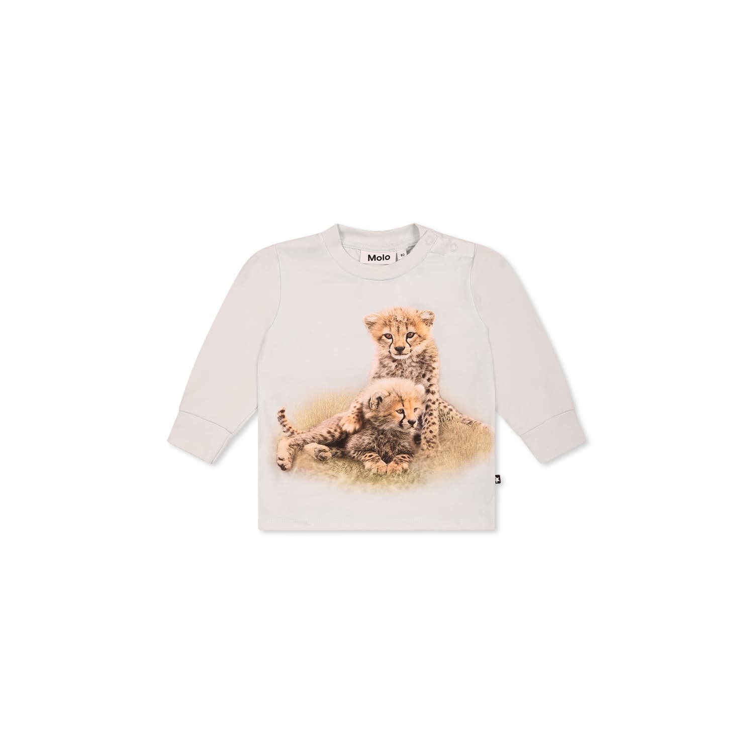 Molo Light Blue T-shirt For Babykids With Cheetah In Light Blue