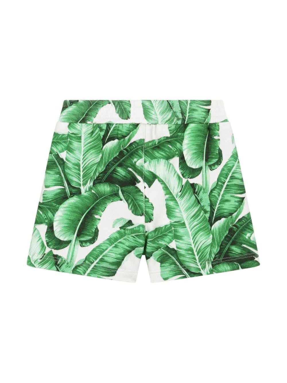 Shop Dolce & Gabbana White Jogging Shorts With Green Banano Print