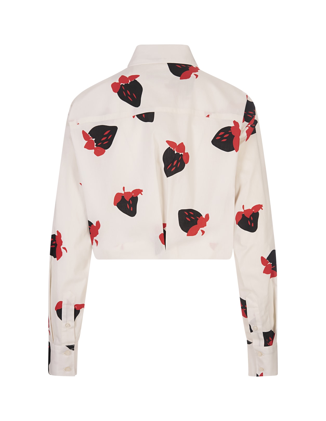 Shop Msgm White Crop Shirt With Strawberry Print