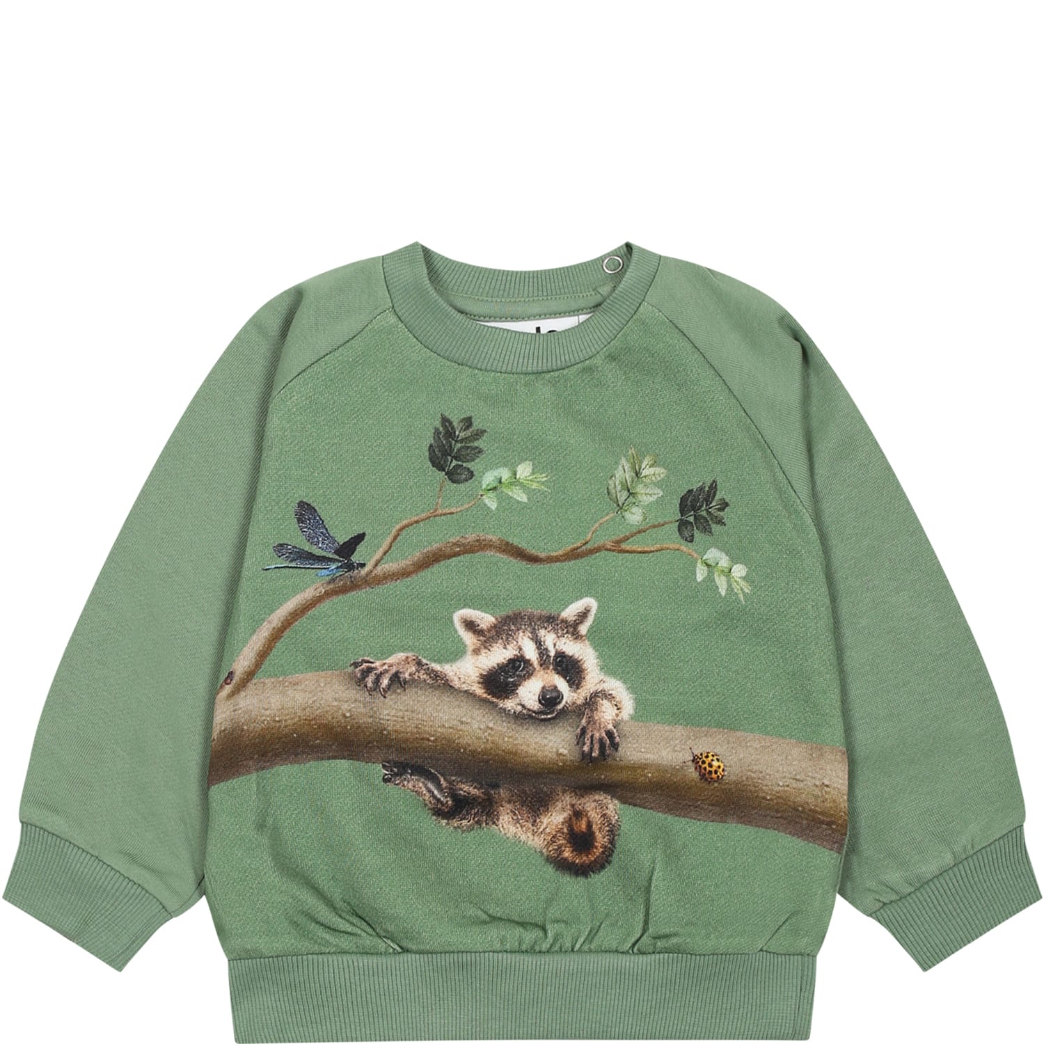 MOLO GREEN SWEATSHIRT FOR BABY KIDS WITH ANIMALS