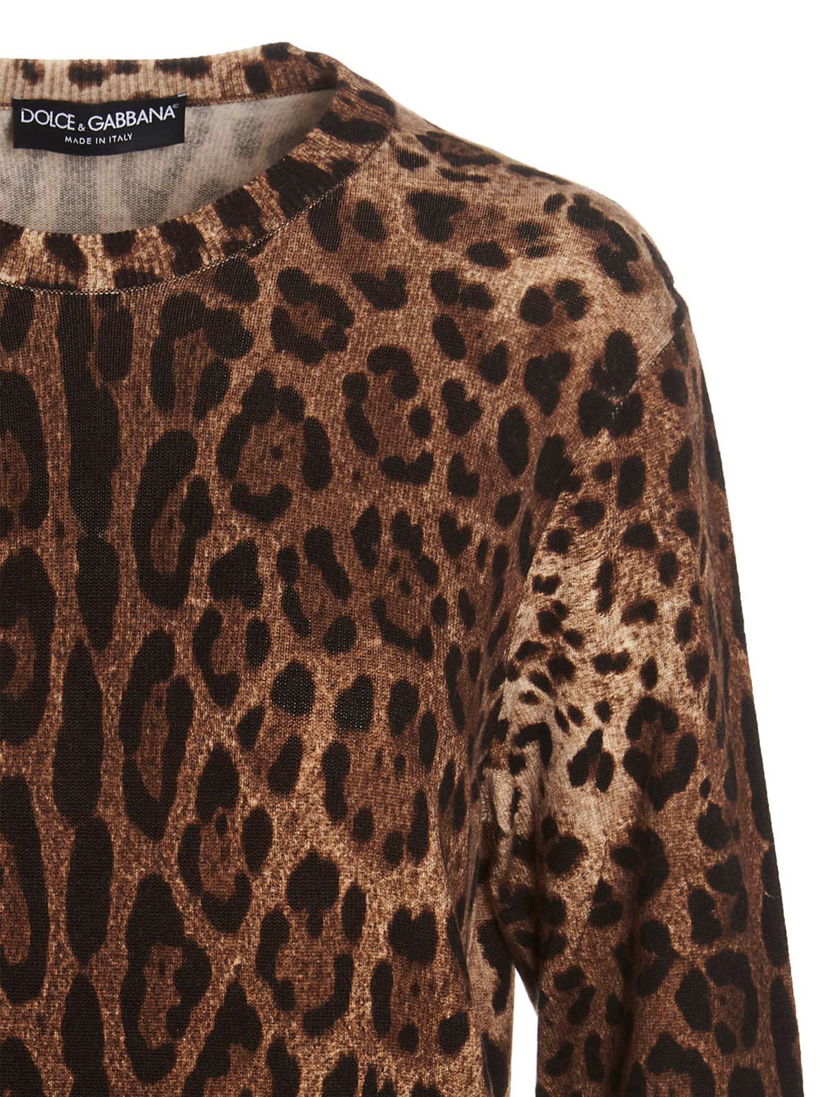 Shop Dolce & Gabbana Animalier Sweater In Leo New