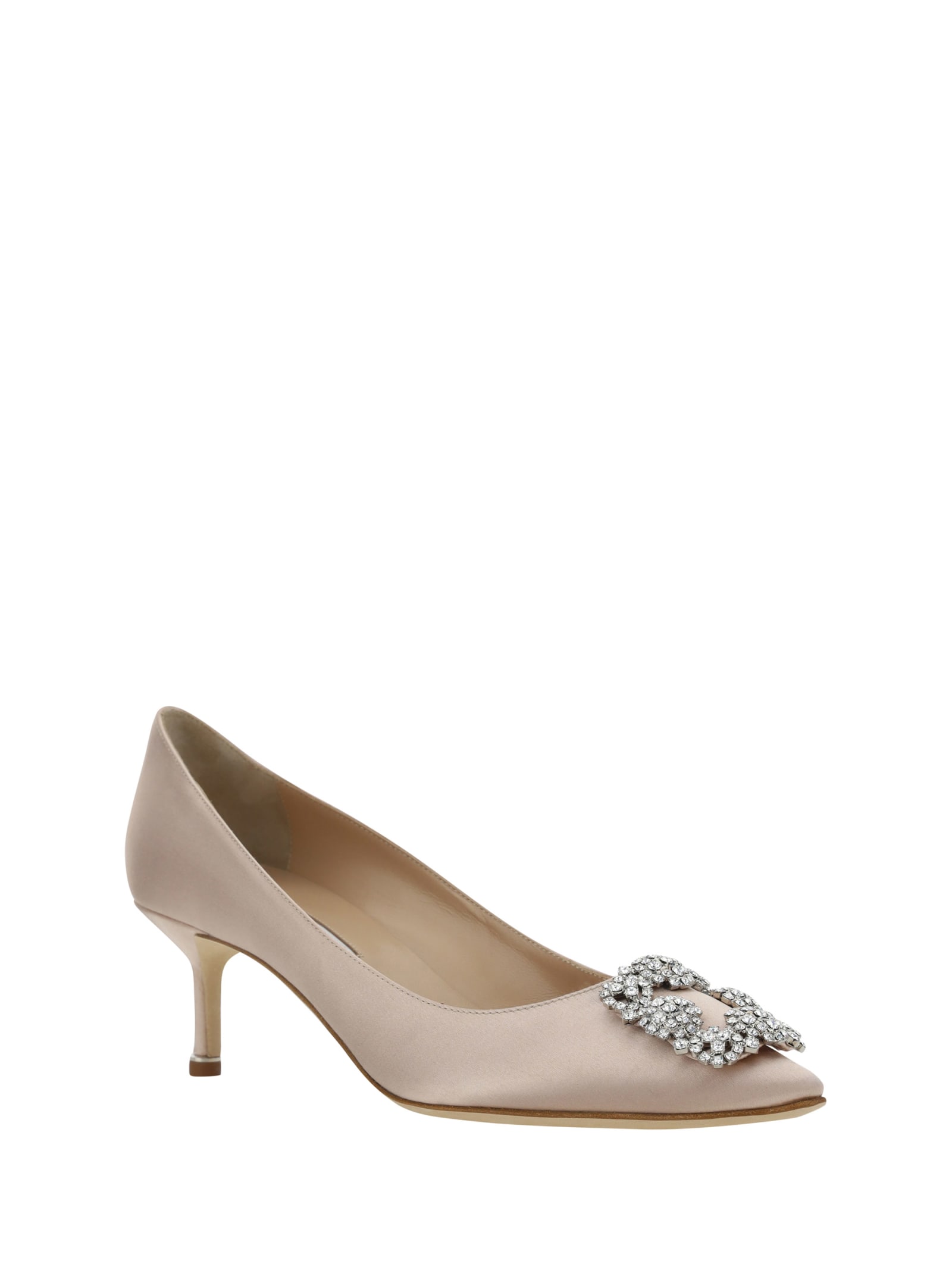 Shop Manolo Blahnik Hangisi Pumps In Dnud