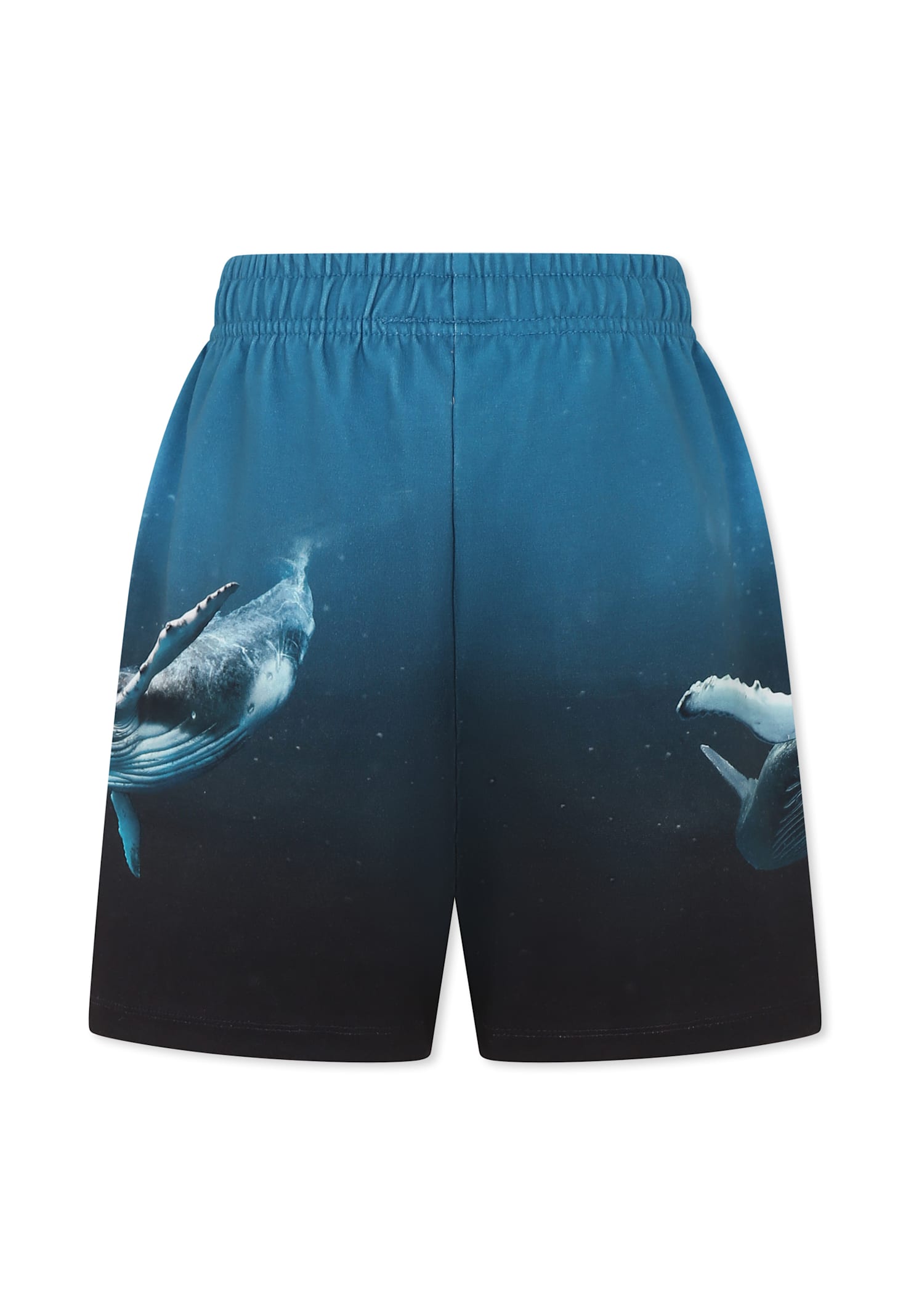 Molo Light Blue Shorts For Boy With Whale In Light Blue