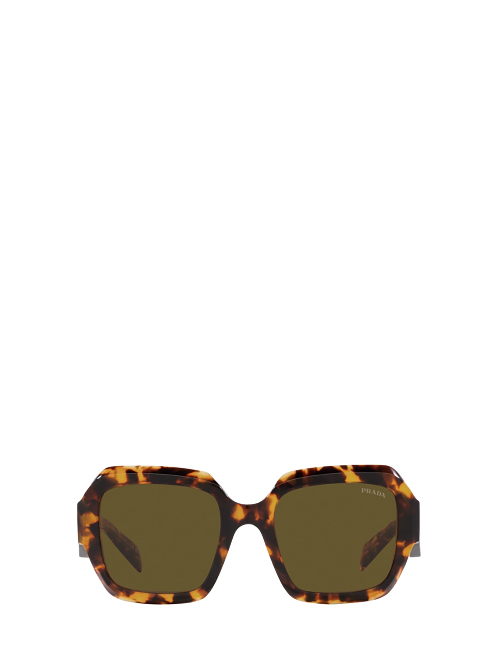 Prada Pr 28zs Sage / Honey Tortoise Sunglasses