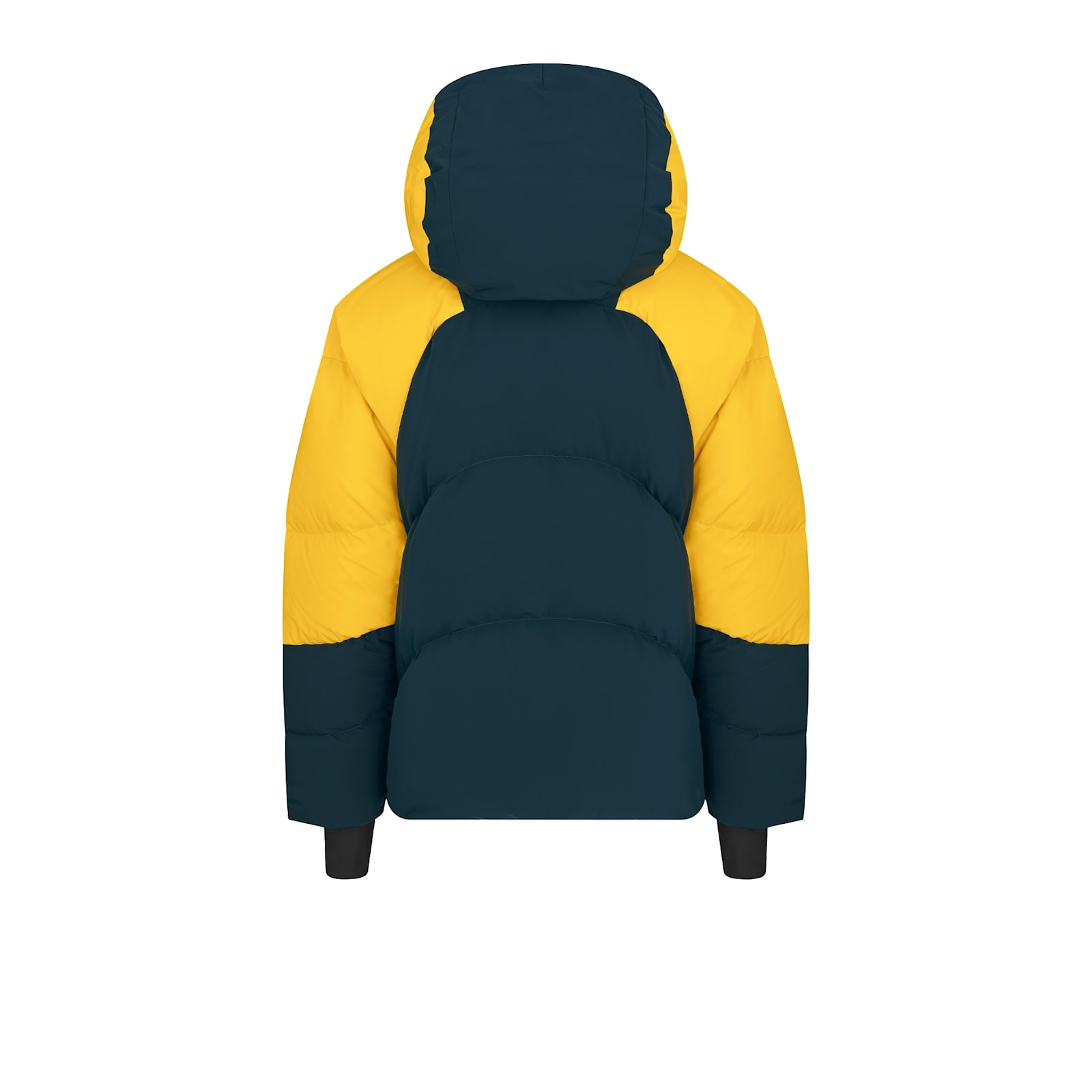 DIOR LEWIS HAMILTON DOWN SKI JACKET