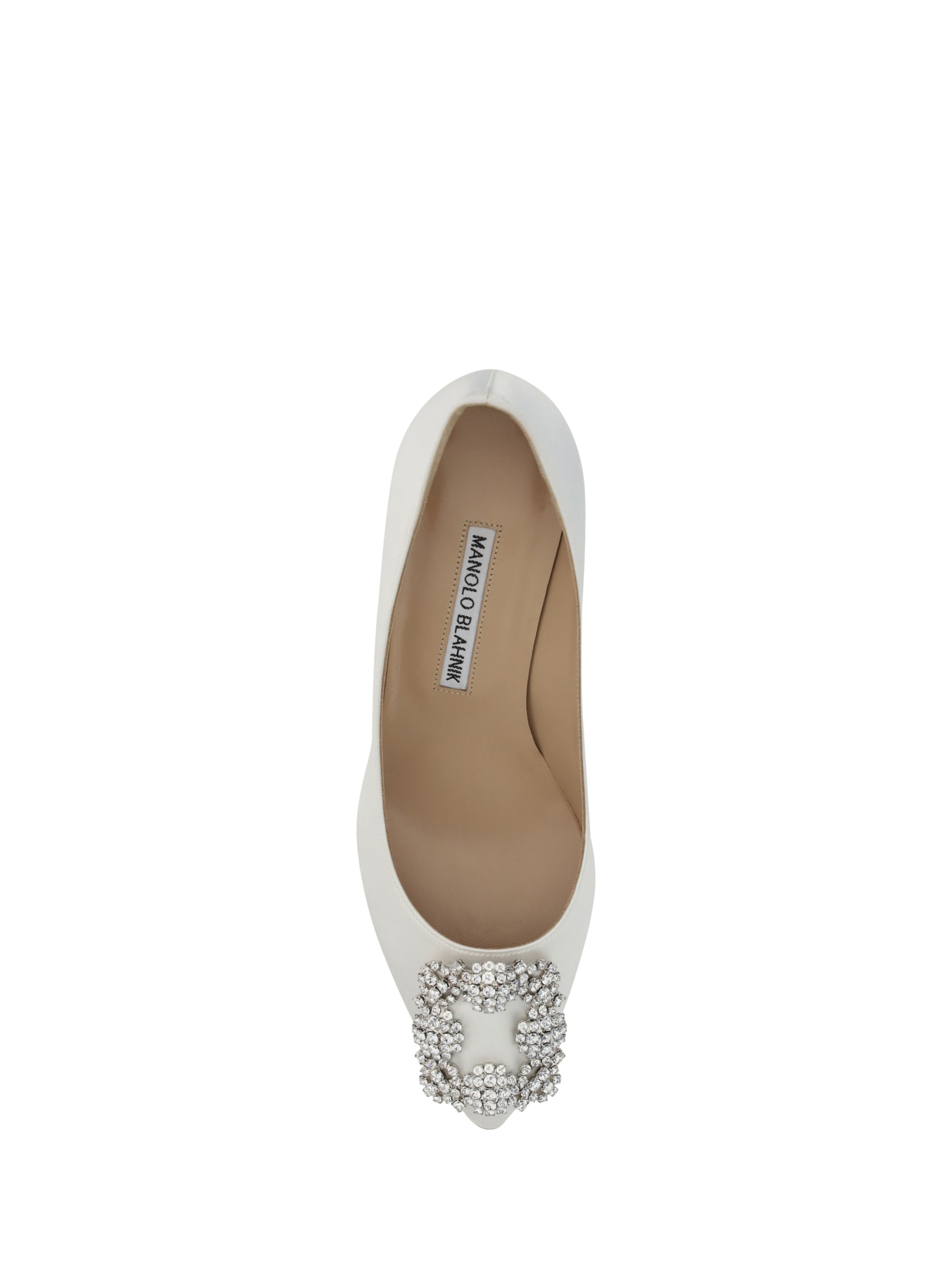 Shop Manolo Blahnik Hangisi Pumps In Mcrm