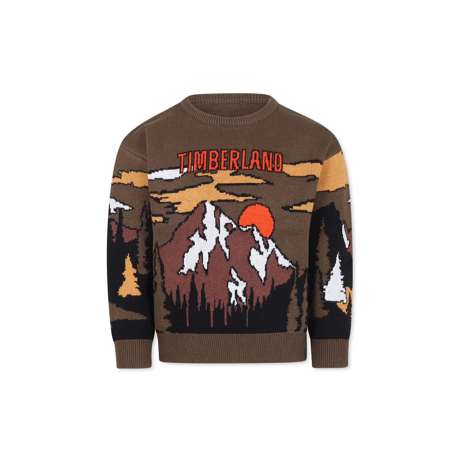 Timberland Green Sweater For Boy With Landscape In Green
