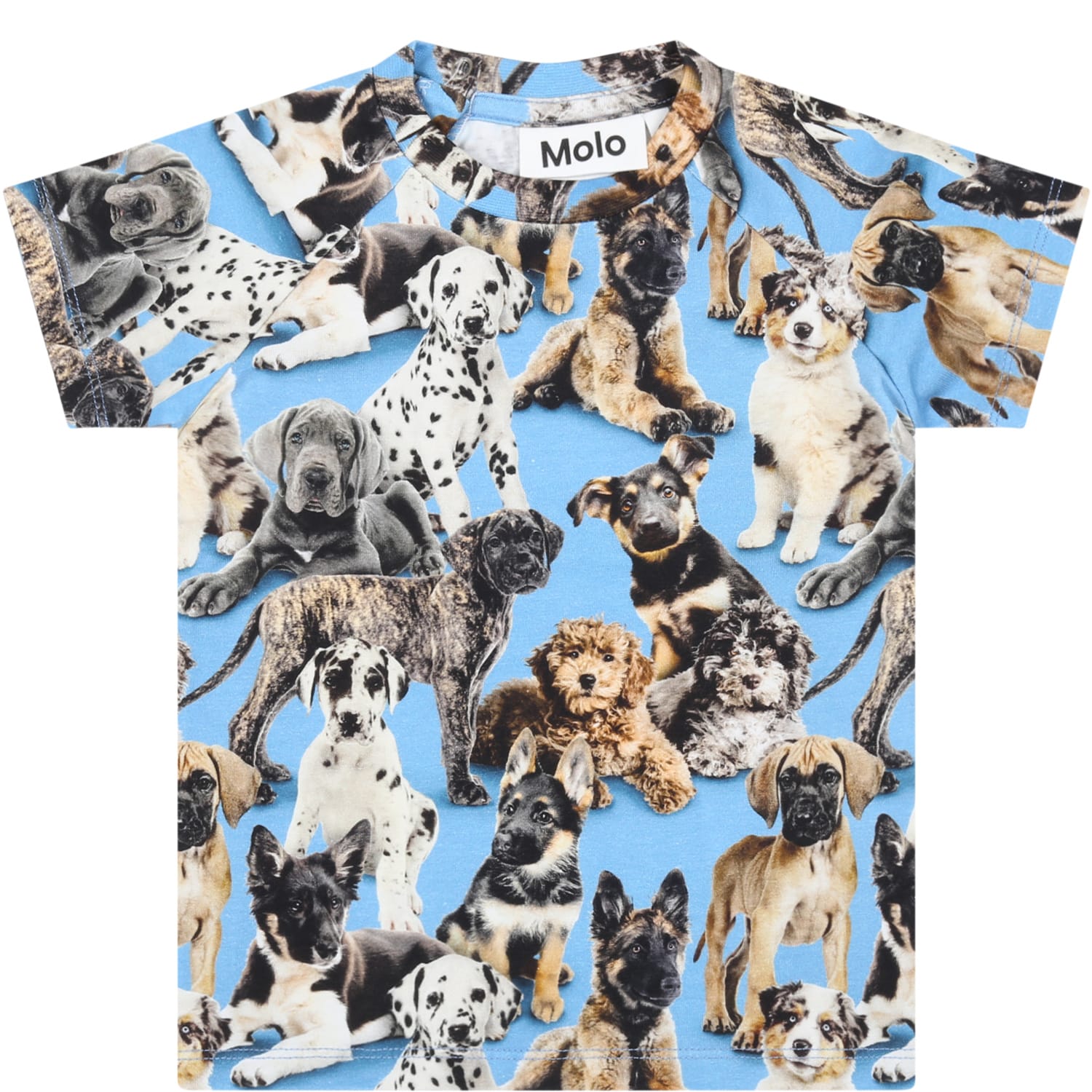 Molo Light-blue T-shirt For Babyb Boy With Dogs