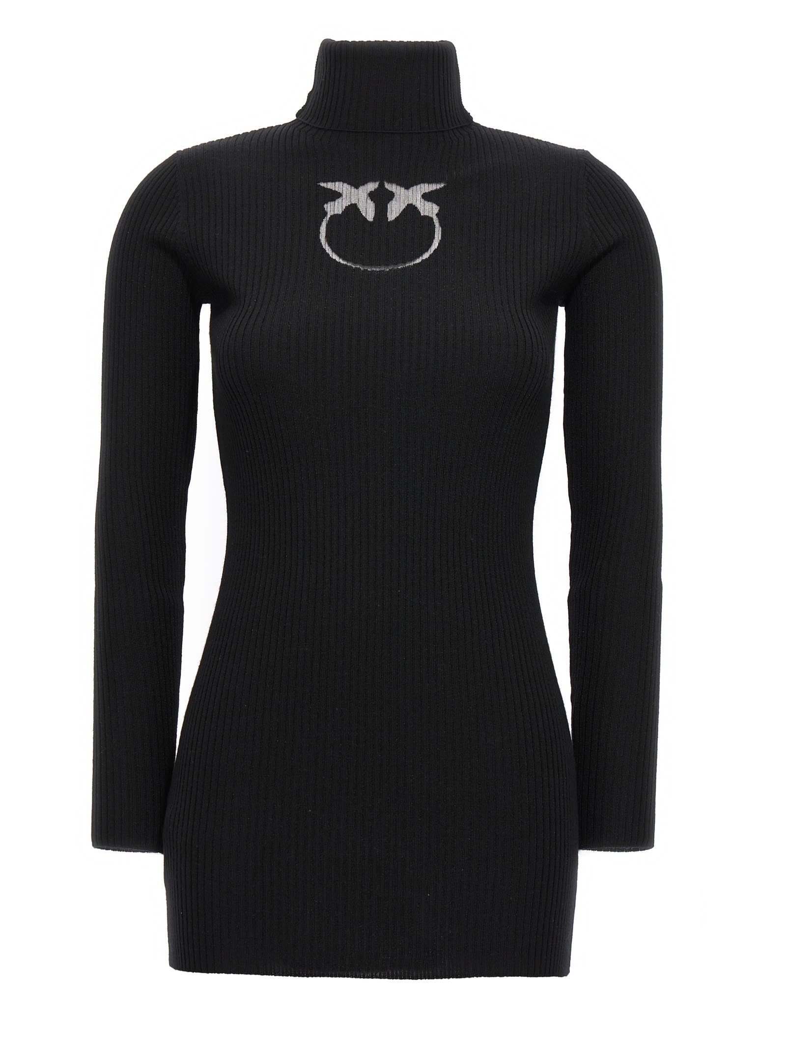 Pinko tartaruga Sweater
