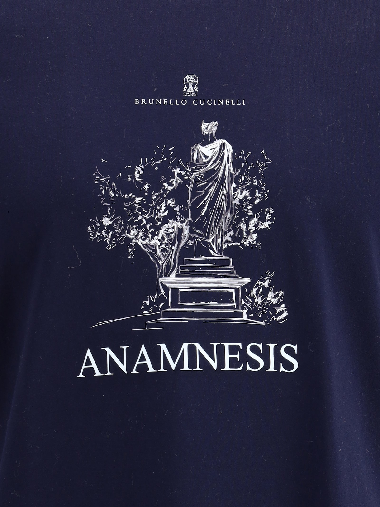 Brunello Cucinelli Anamnesis Print T-shirt In Blue