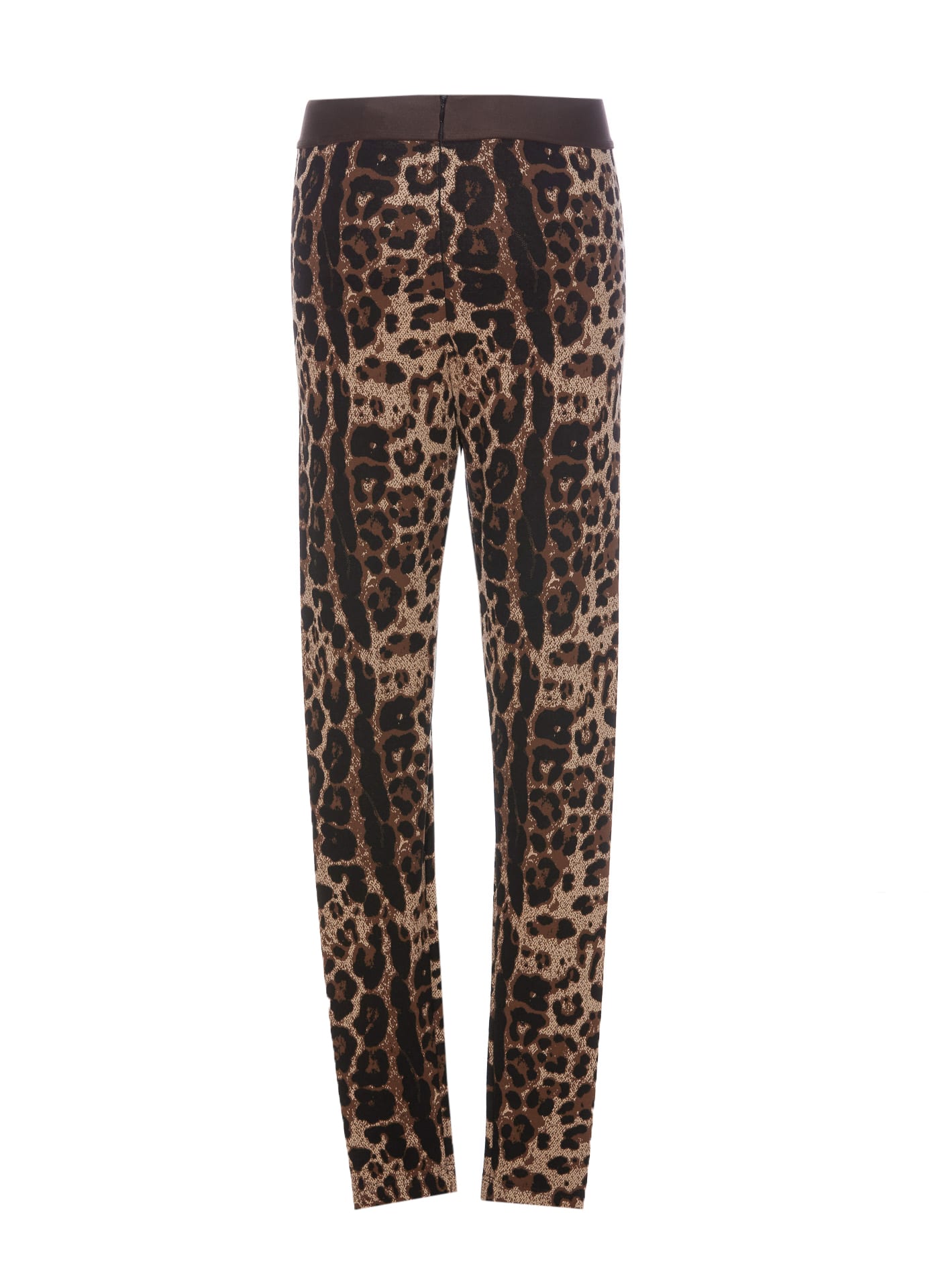 Shop Dolce & Gabbana Leo Leggings In Black