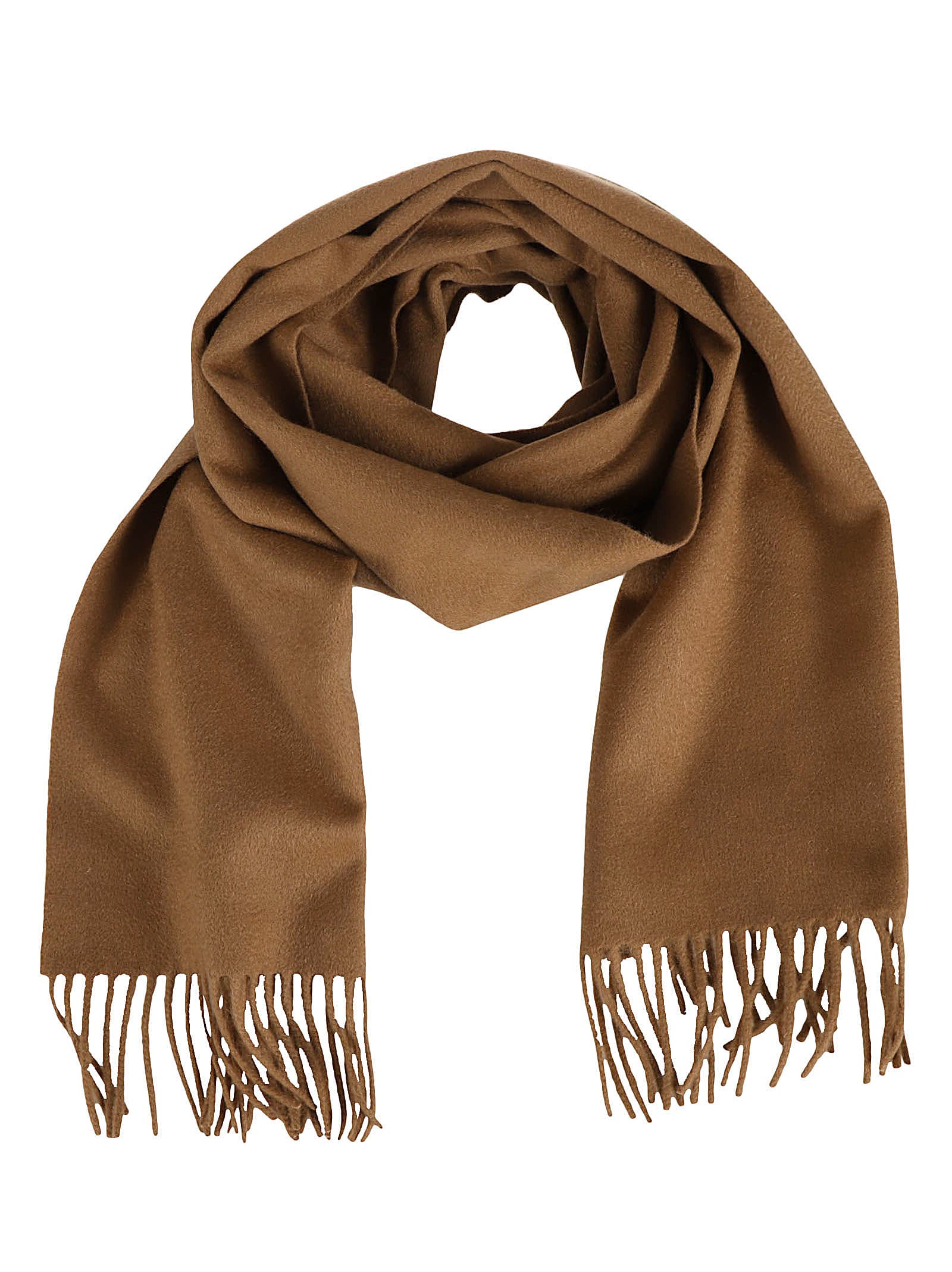 Max Mara Lvr Exclusive Embroidered Wool Scarf In Camel