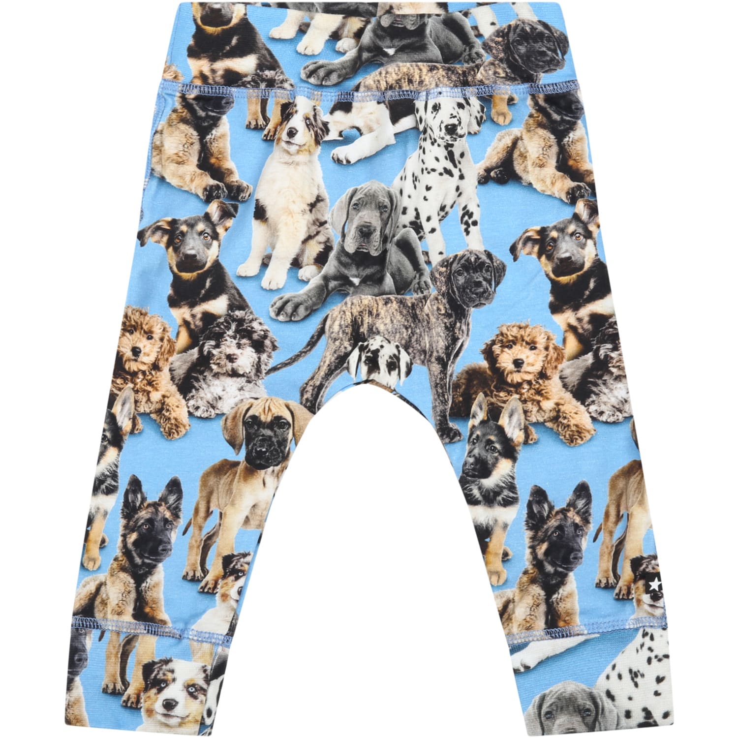 Molo Light-blue Trouser For Baby Boy With Dogs