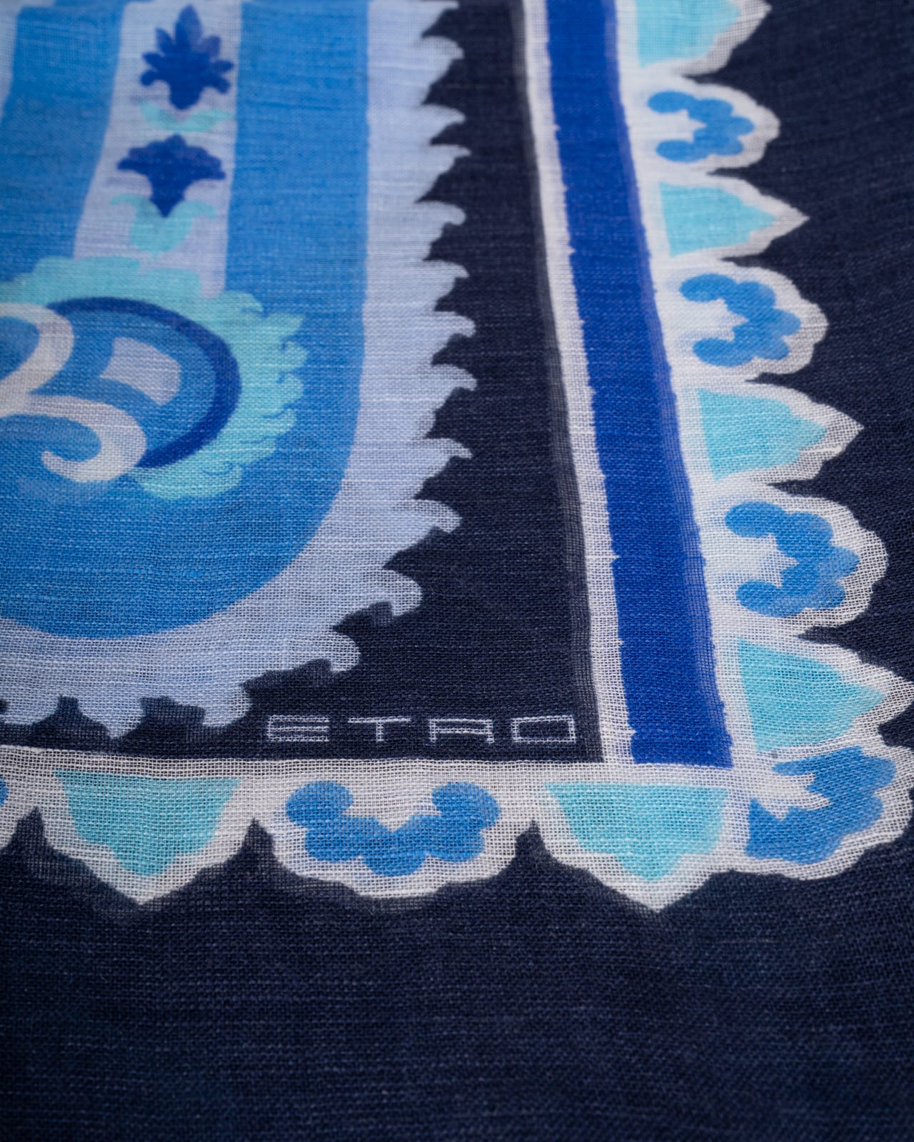 Etro Scarfs In Fantasia