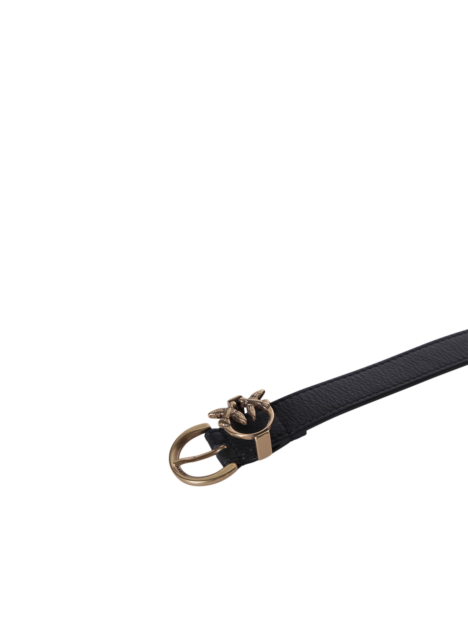 Shop Pinko Tamboril Black Belt