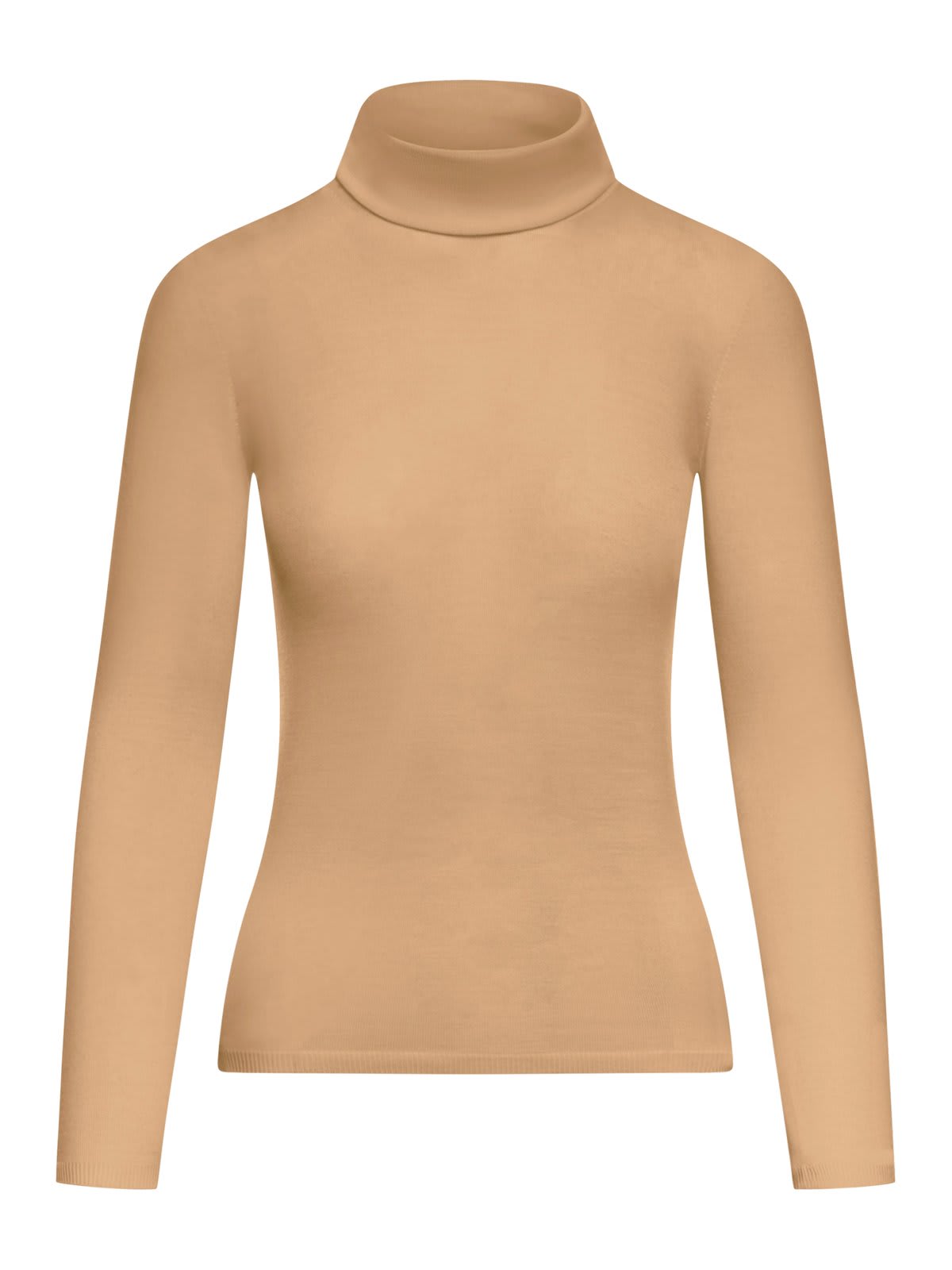 Shop Max Mara Turtleneck Knitted Top In Camel