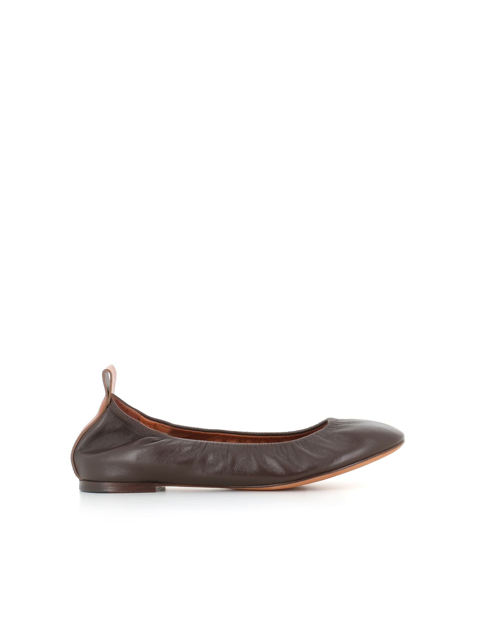 Shop Lanvin Ballerina In Brown