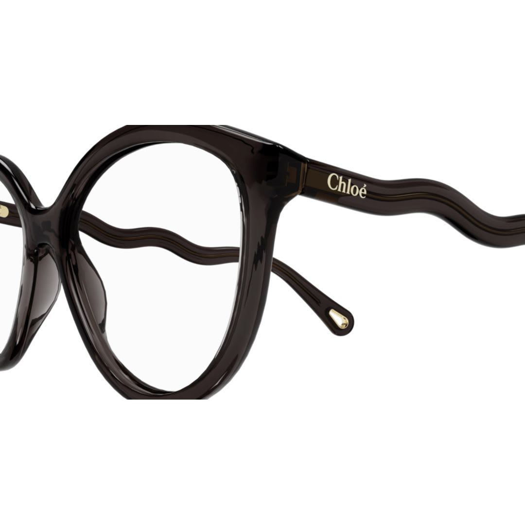 Chloé Ch0089o001 Grey Grey Transparent In Black