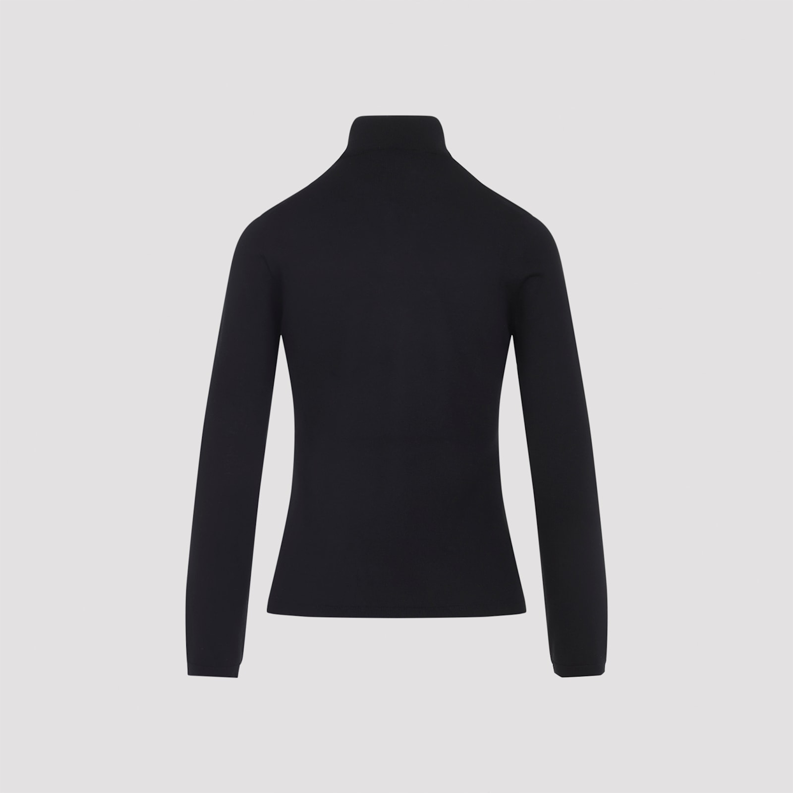 Max Mara Meana Turtleneck In Black