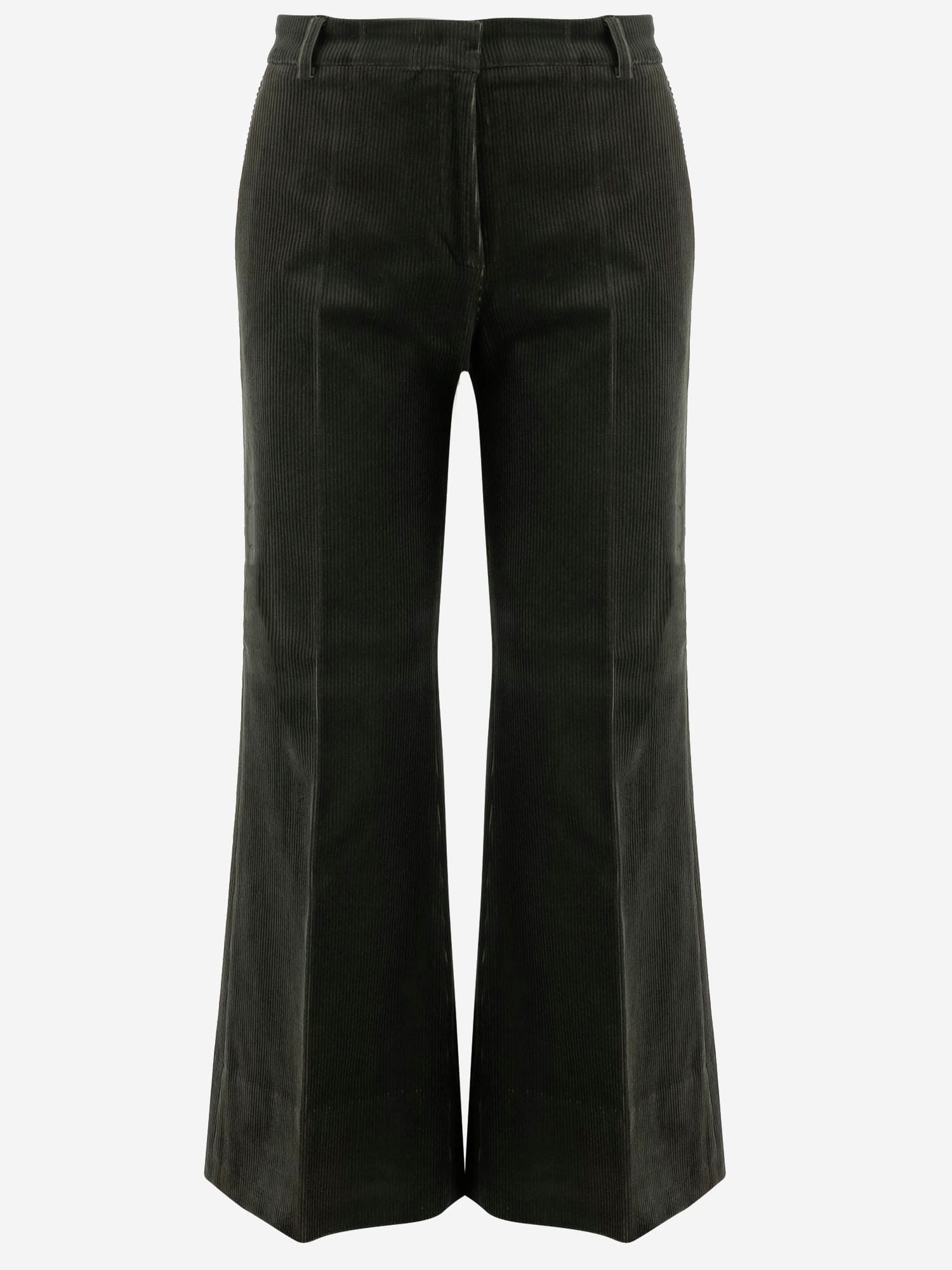 Stretch Cotton Melody Pants