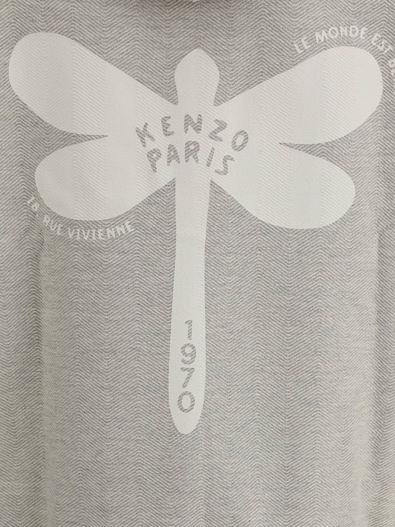 Kenzo Dragonfly Hoodie For A Dynamic Look In Gris Clair