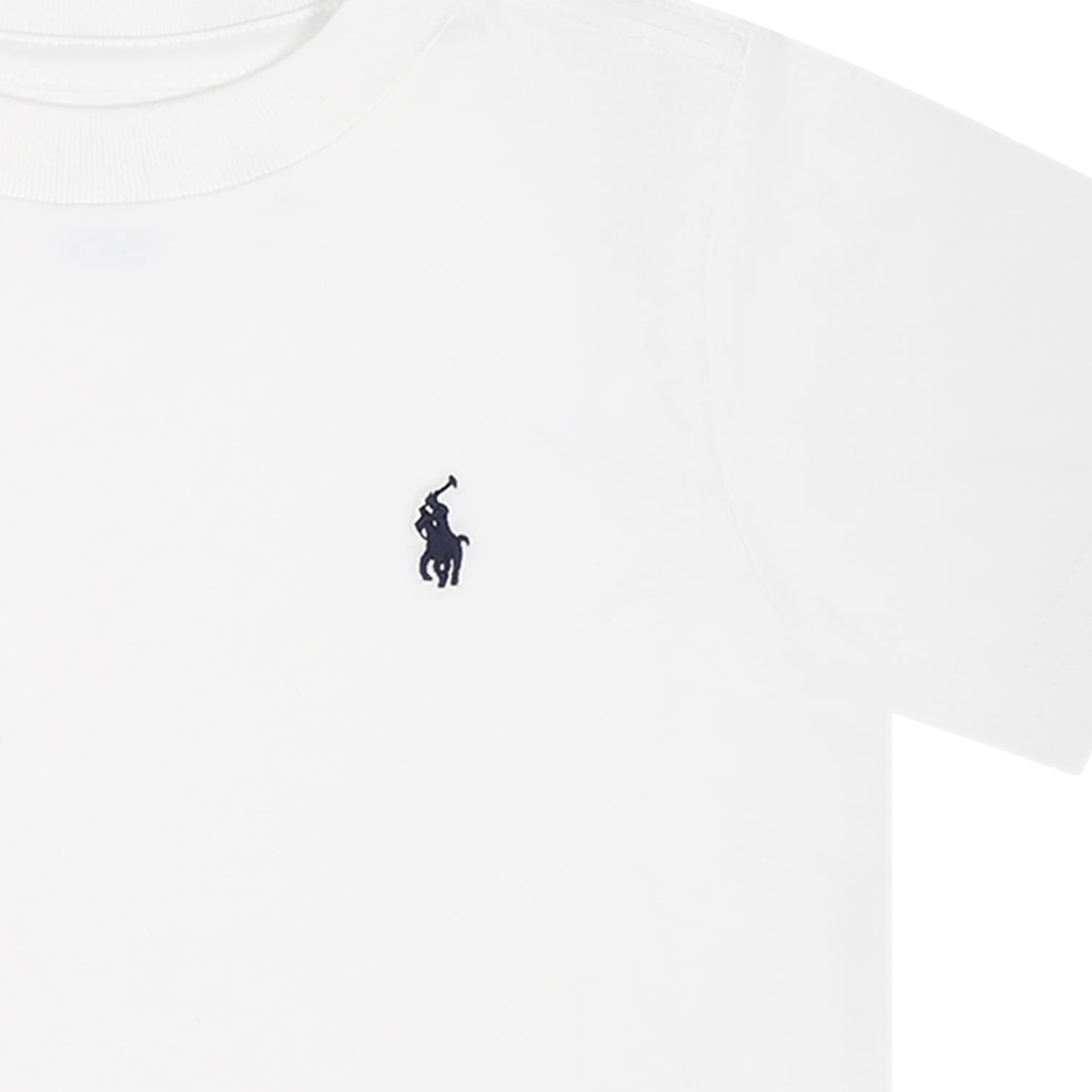 Shop Ralph Lauren White T-shirt For Boy With Pony Logo