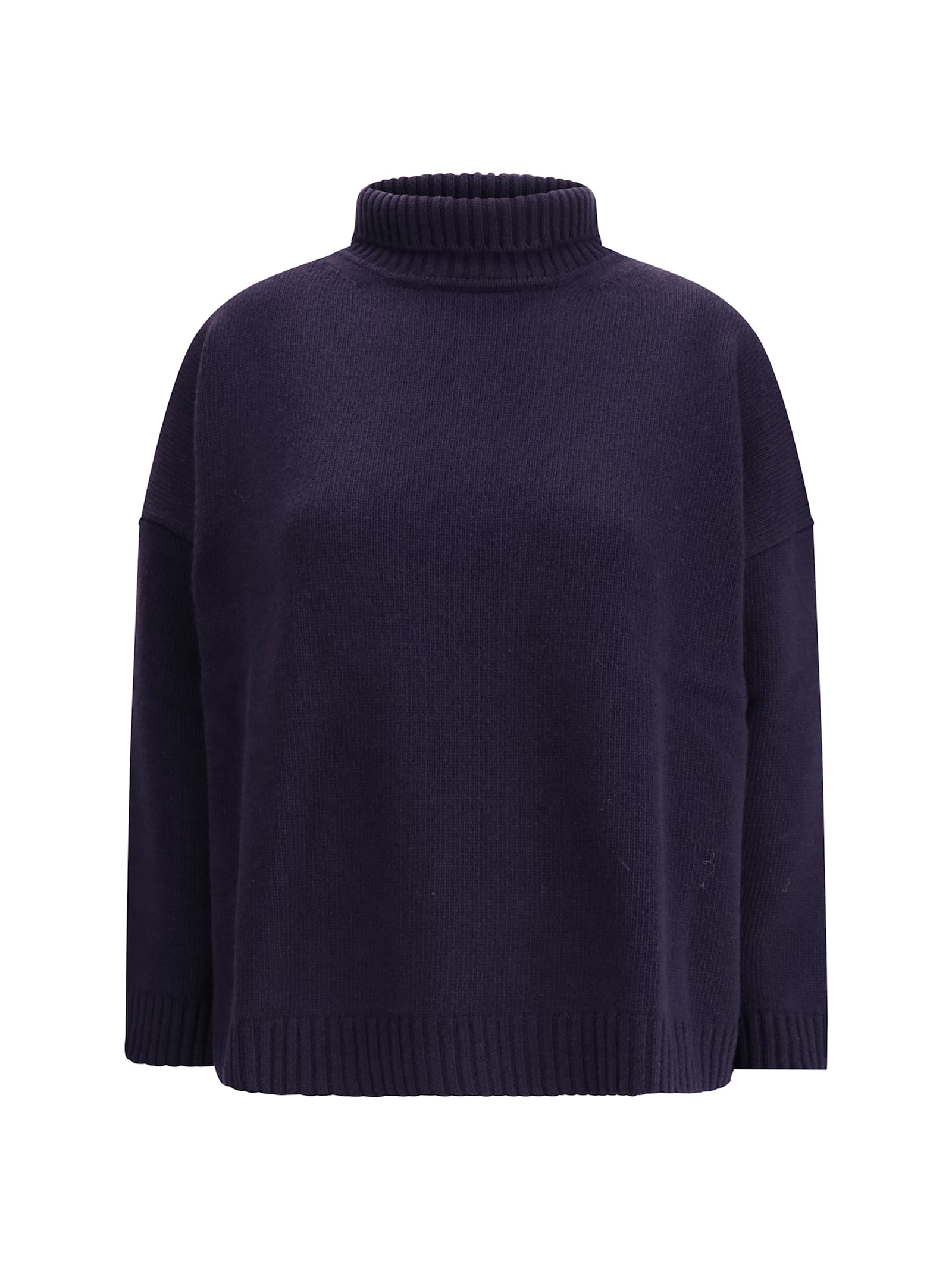Weekend Max Mara Wool Turtleneck Sweater In Blue