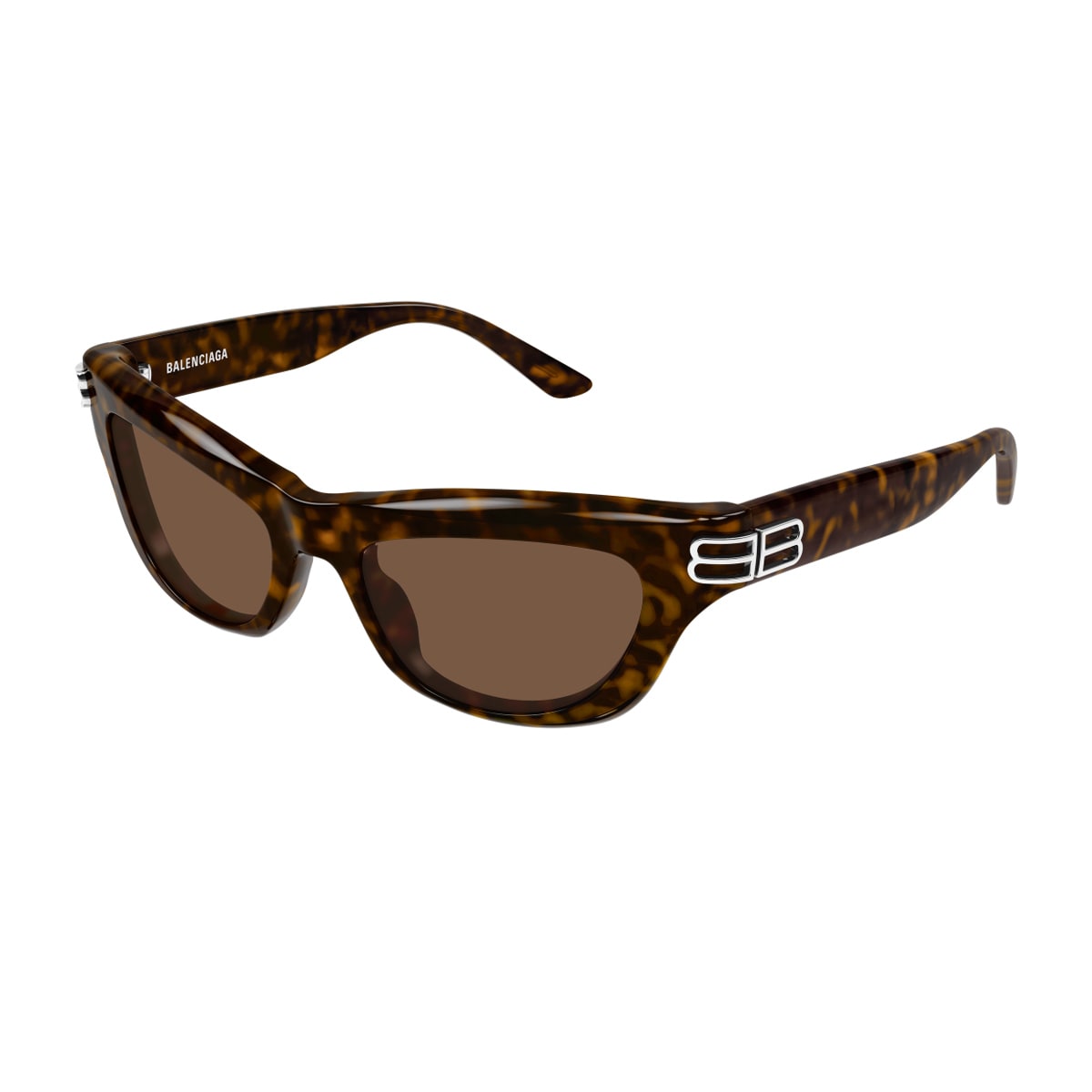Balenciaga Bb0430s Linea Everyday 002 Havana Brown Sunglasses In Brown
