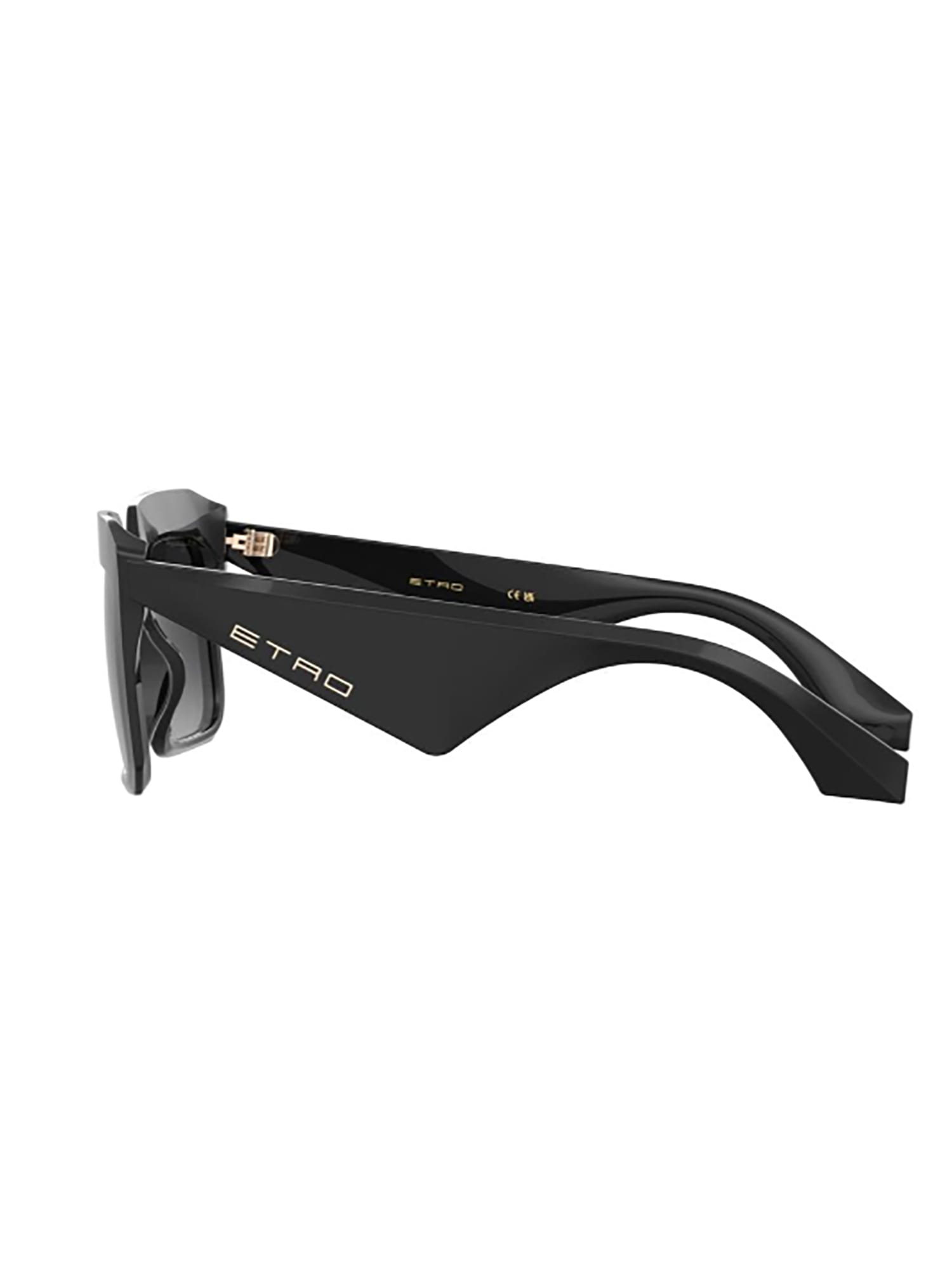 Shop Etro 0045/g/s Sunglasses In O Black