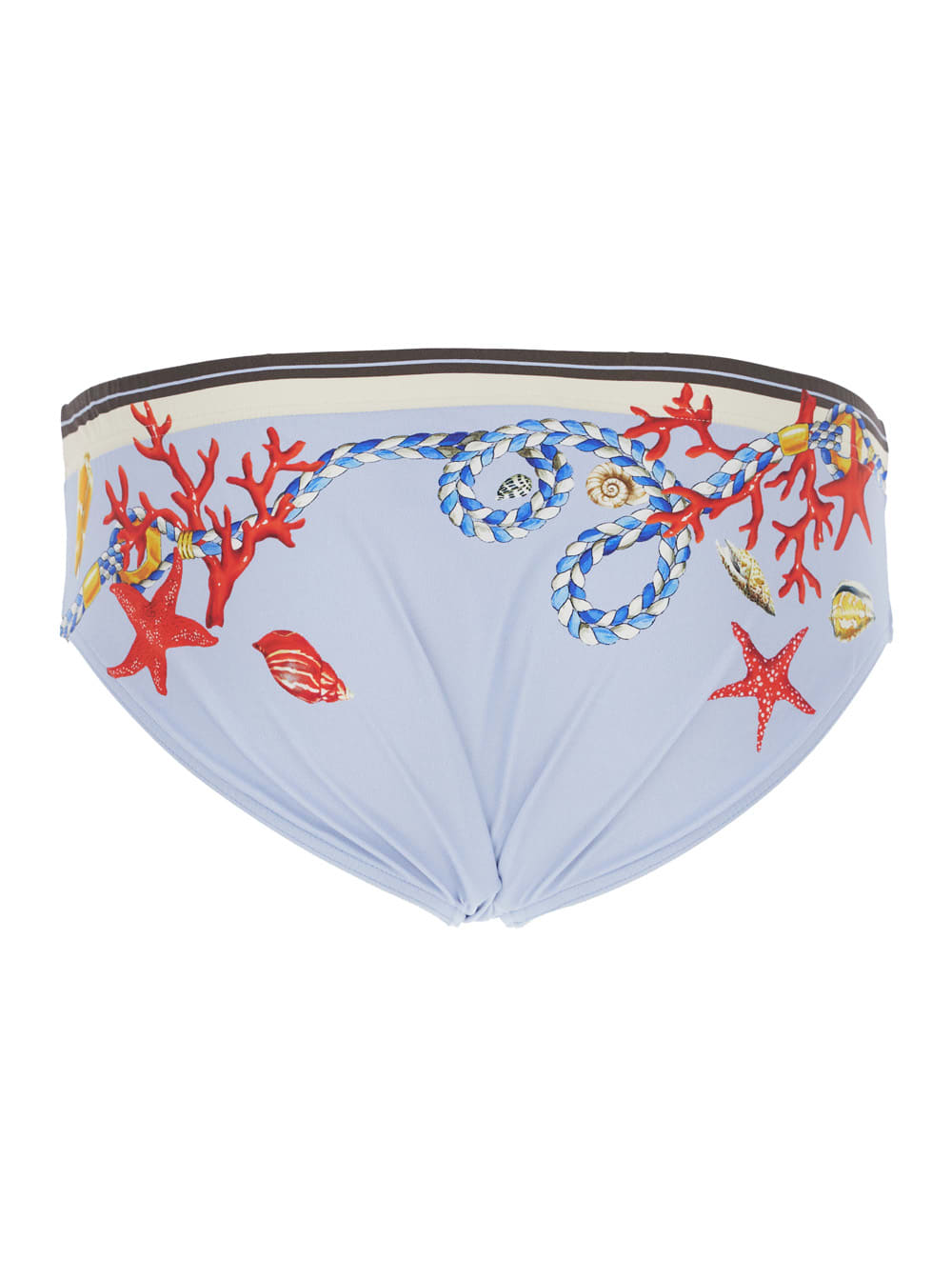 Dolce & Gabbana Slip Stampa Conchiglie In Multi
