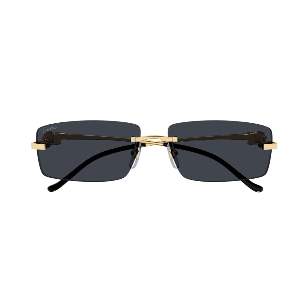 Cartier Ct0430s 001 Sunglasses In Black