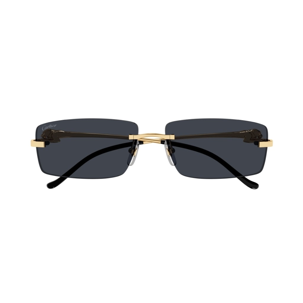 CT0430s 001 Sunglasses