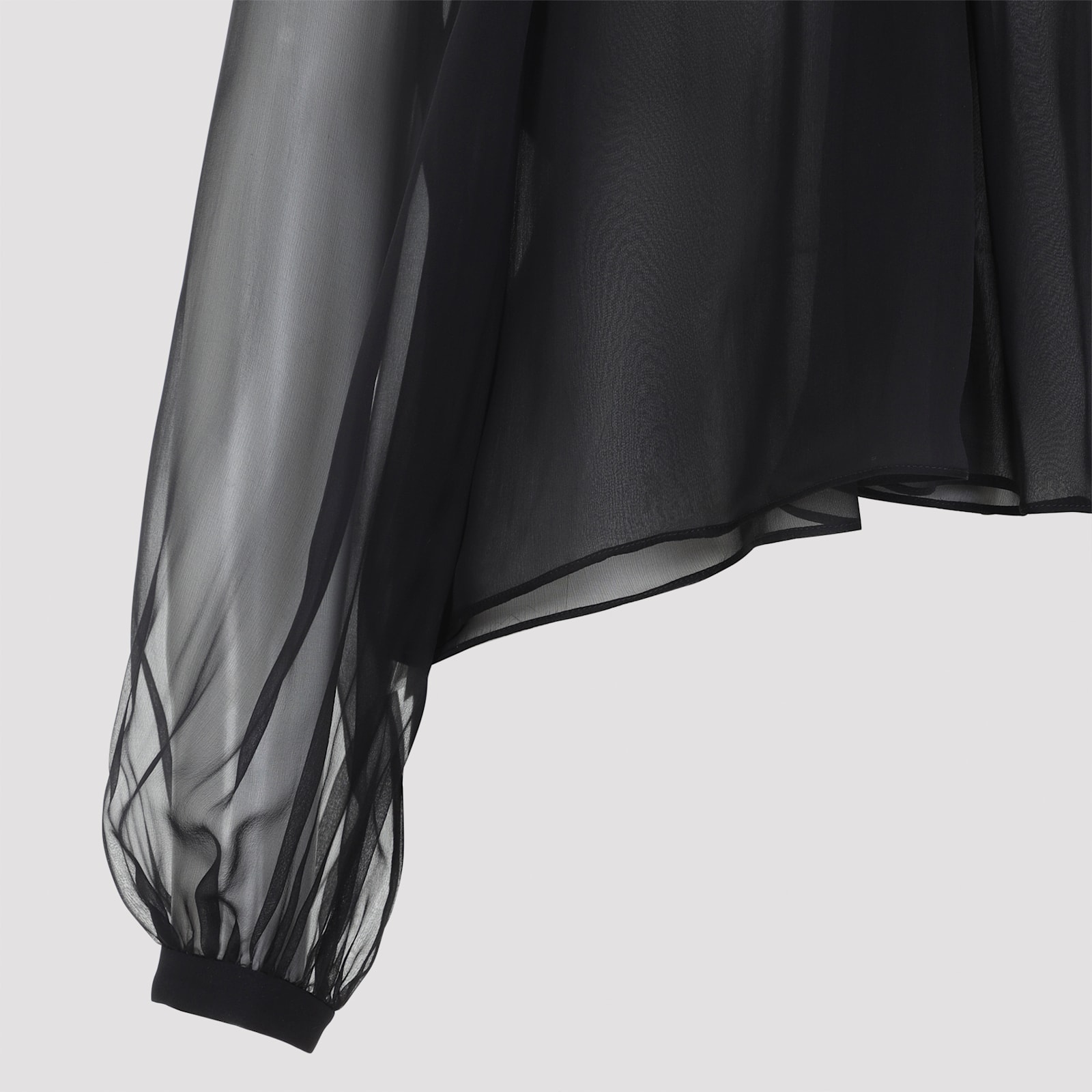 Alberta Ferretti Long Sleeve Sheer Blouse With Ruffles And Flowers In Black