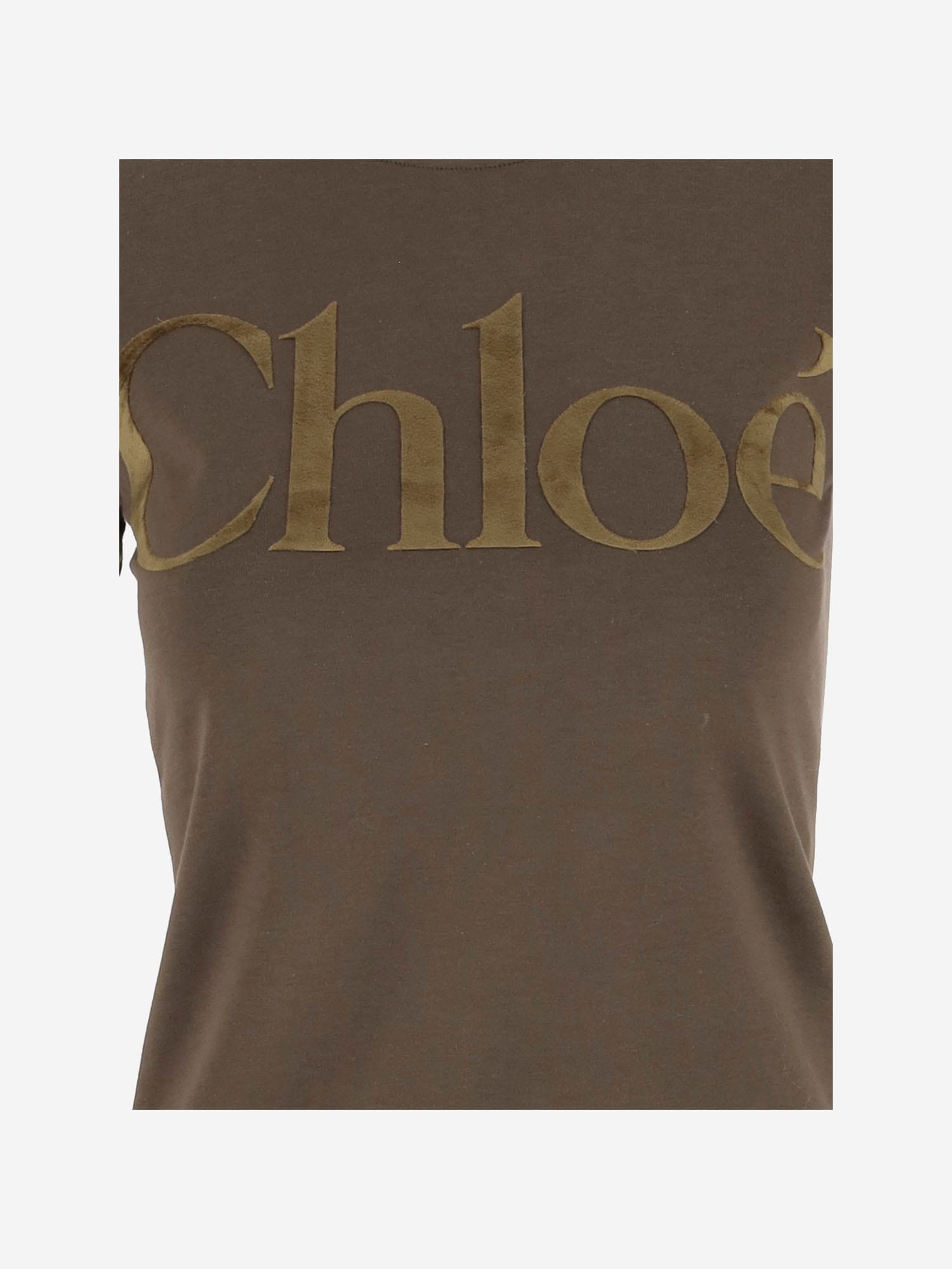 Shop Chloé Cotton Jersey T-shirt With Logo In Green