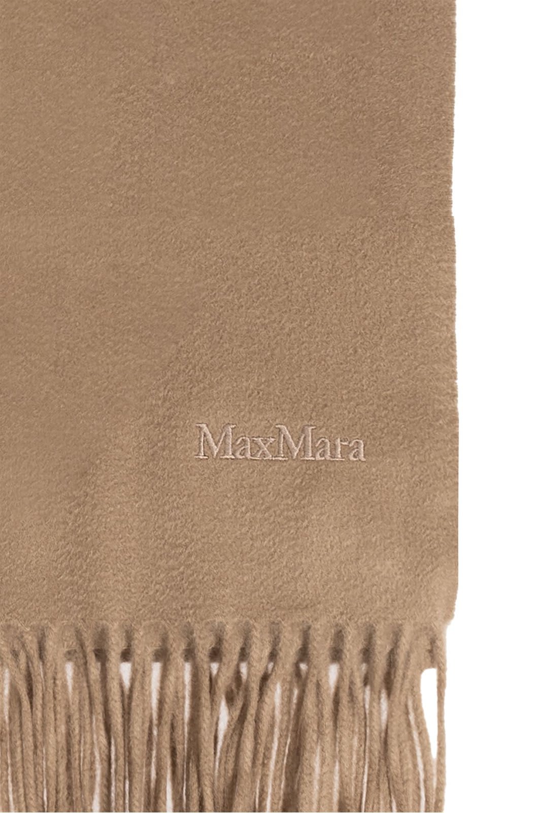 Shop Max Mara Logo Embroidered Fringed Edge Scarf