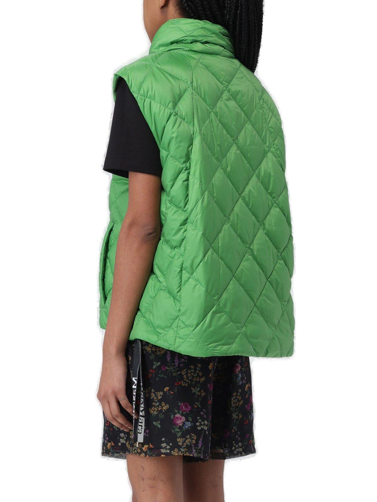 Shop Max Mara The Cube Buttoned High Neck Jacket  In Green