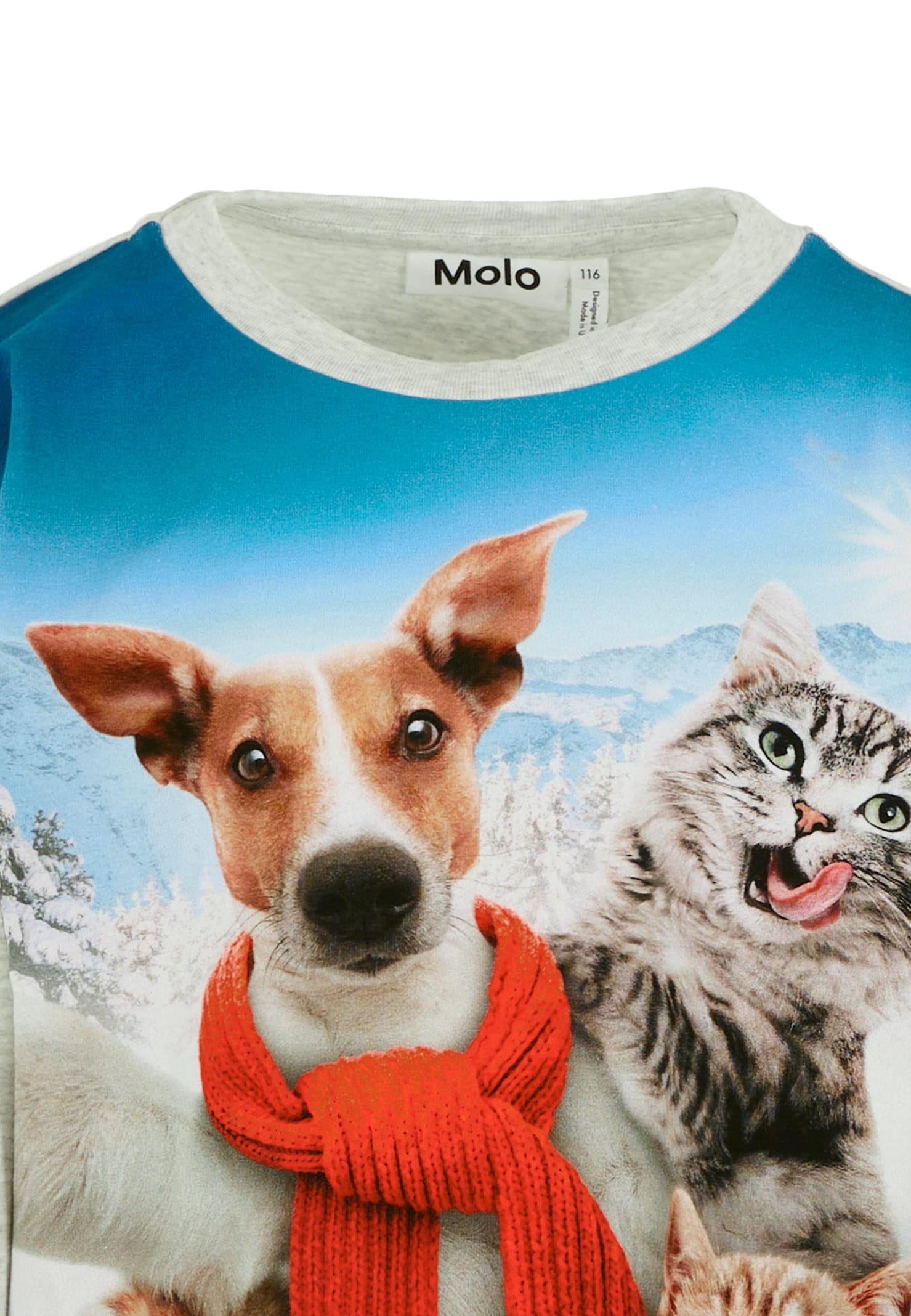 Molo Grey T-shirt For Kids With Dog And Cat In Blue