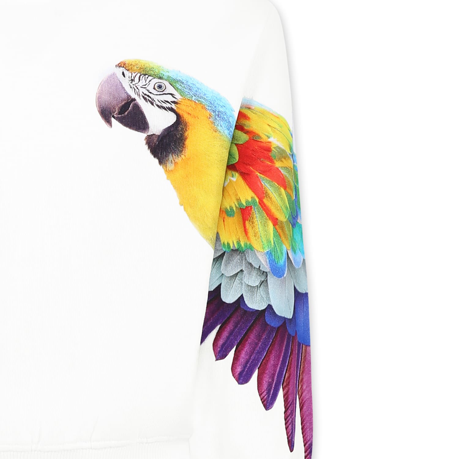 Molo White Sweatshirt For Girl With Parrot In White