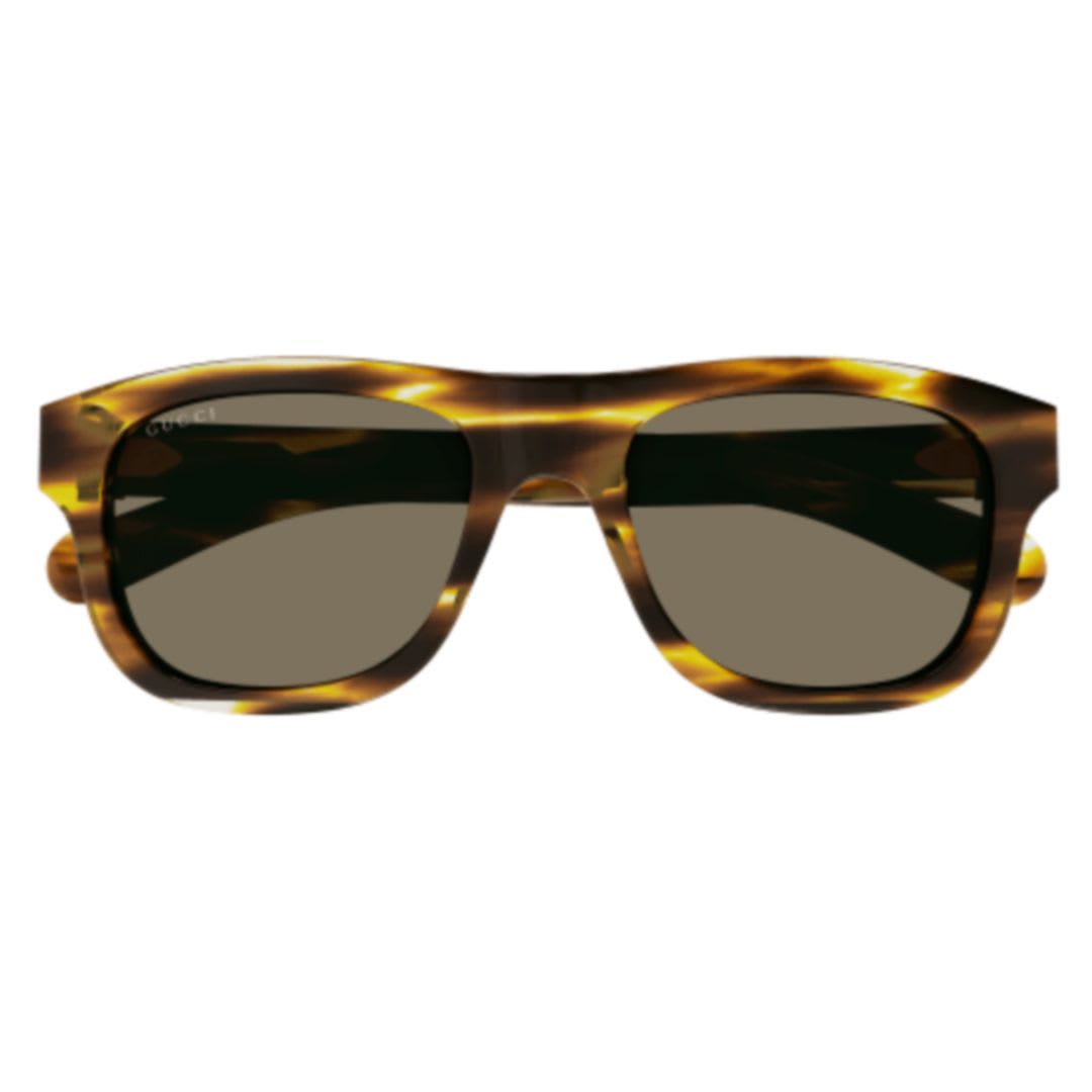 Shop Gucci Gg1509s002 Havana Havana Brown