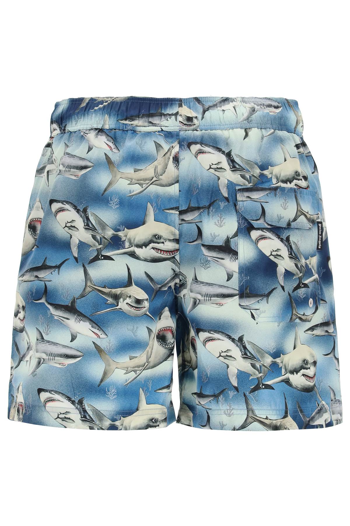 Shop Palm Angels Swimtrunks With Shark Print In Blue