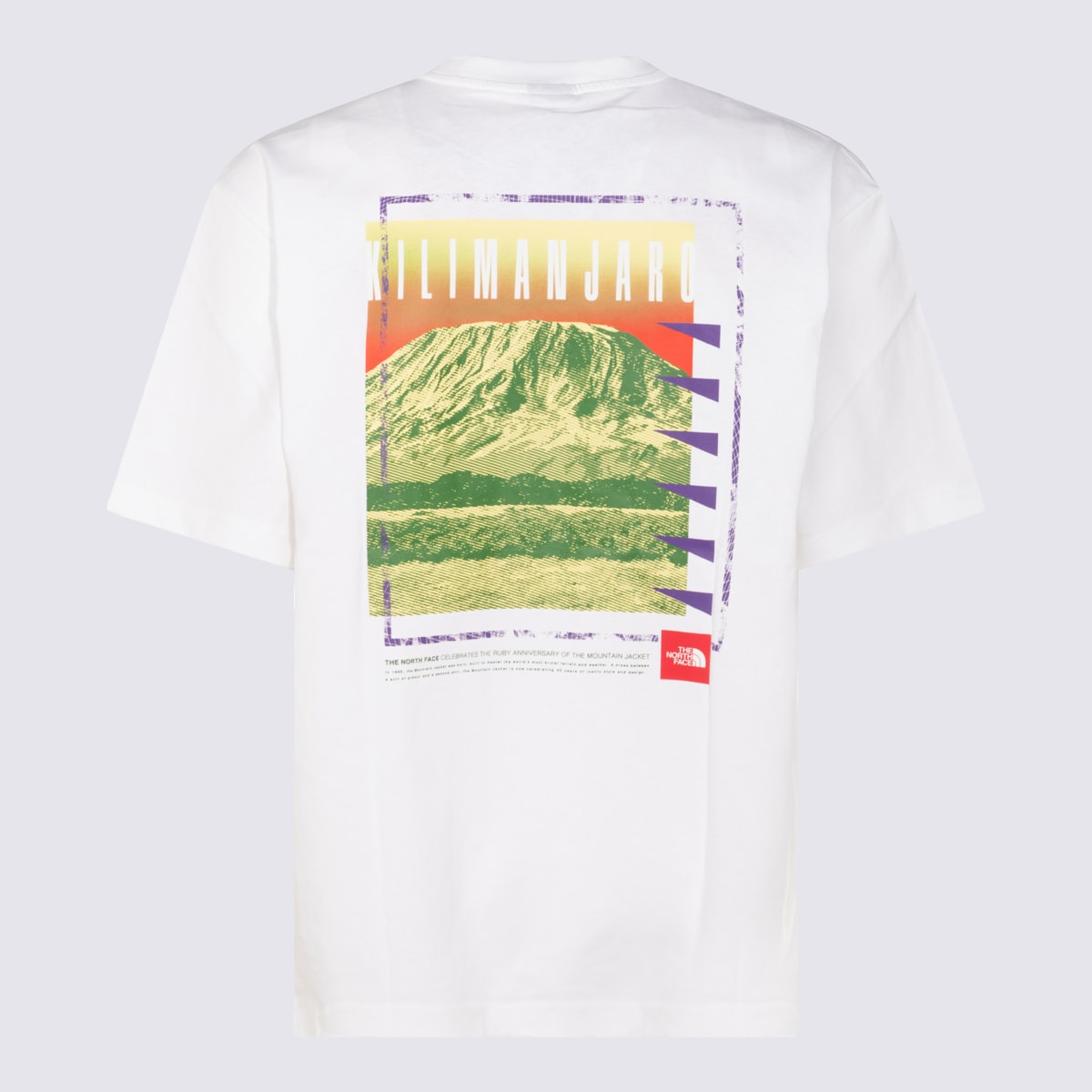 THE NORTH FACE WHITE COTTONN T-SHIRT 