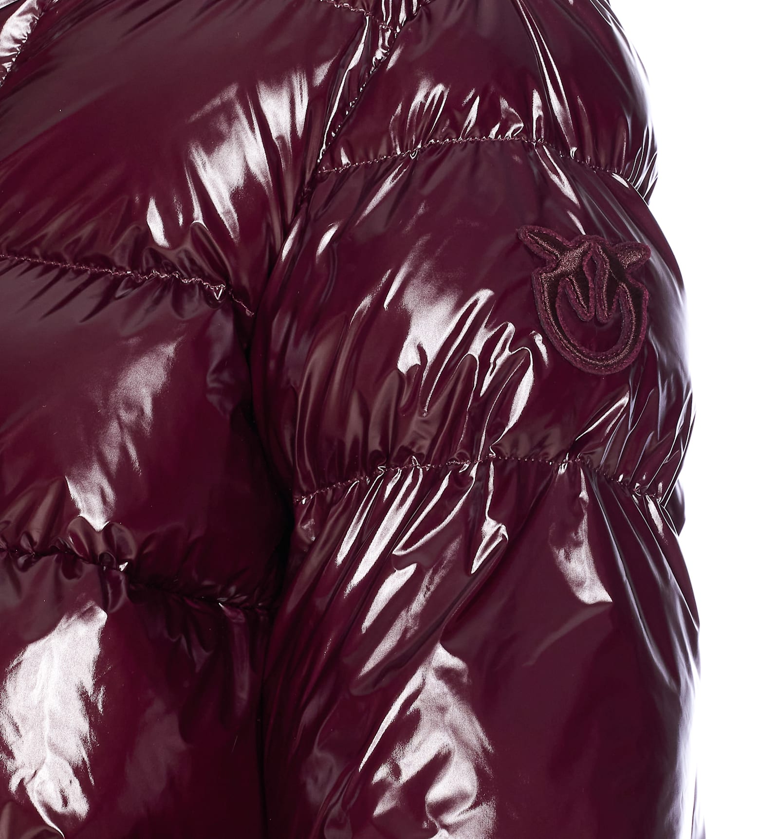 Pinko Eleodoro Down Jacket In Burgundy