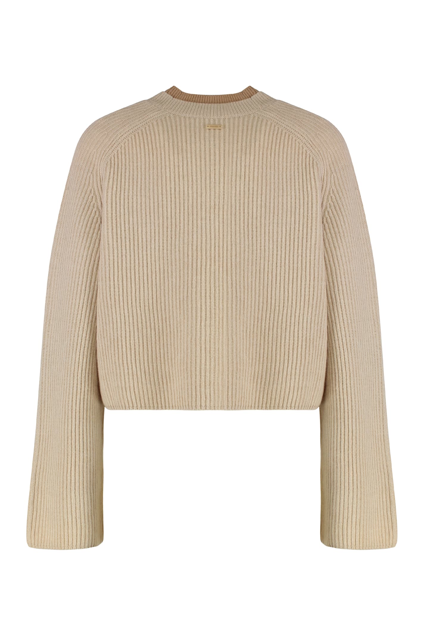 Max Mara Wool And Cashmere Jersey With A Ribbed Knit In Brown