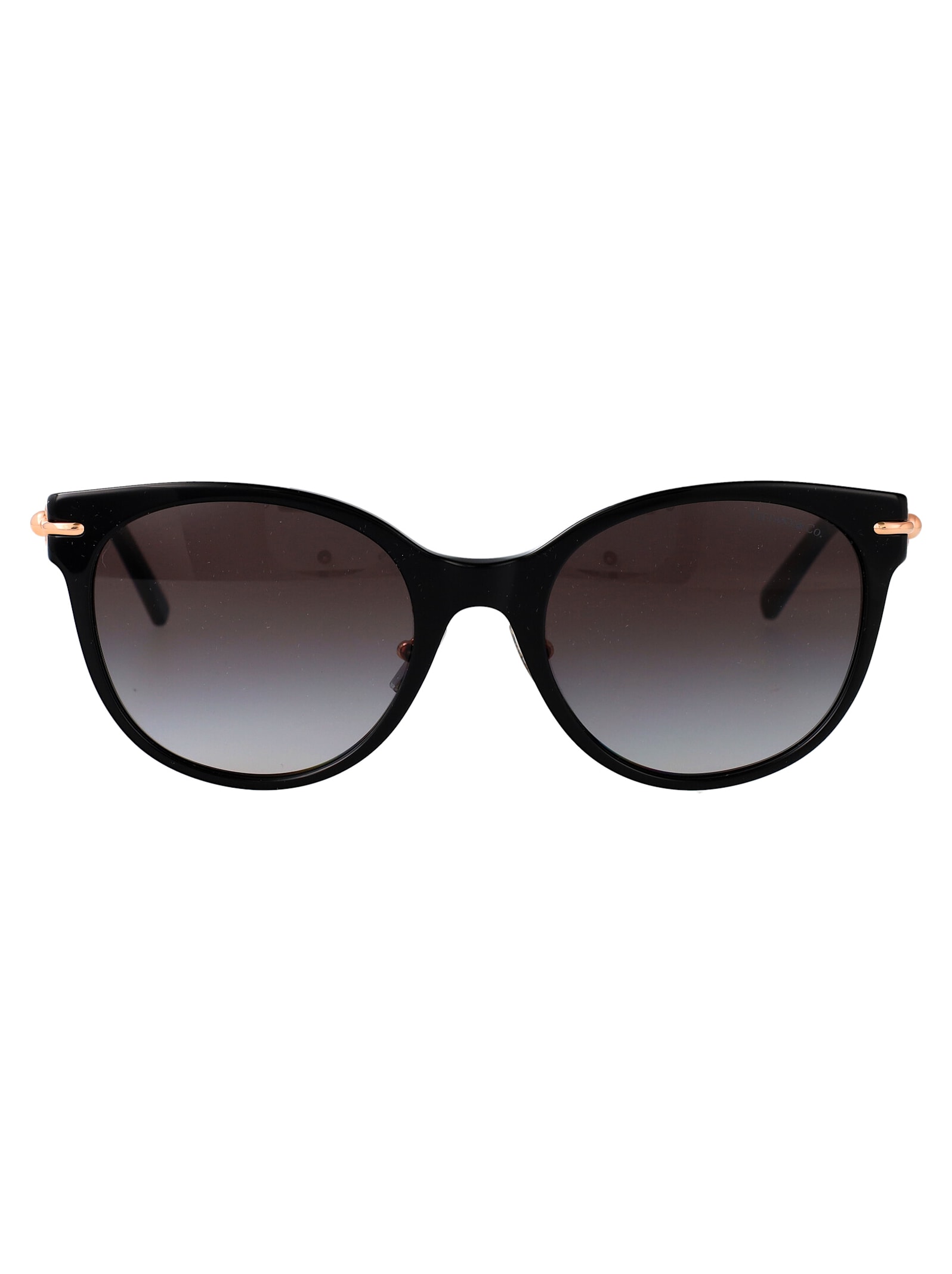 0tf4223d Sunglasses