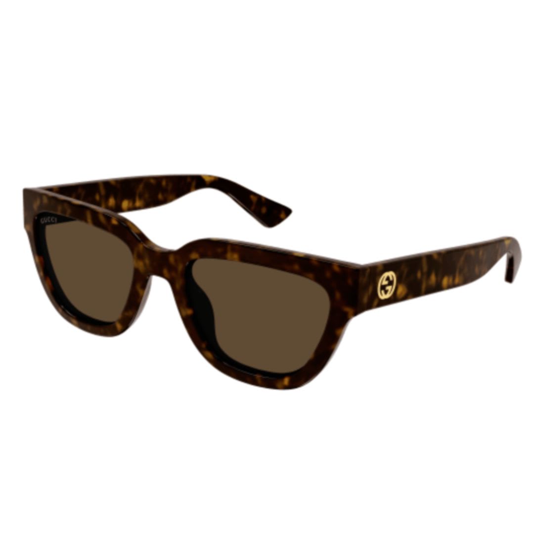 Gg1578s002 Havana Havana Brown