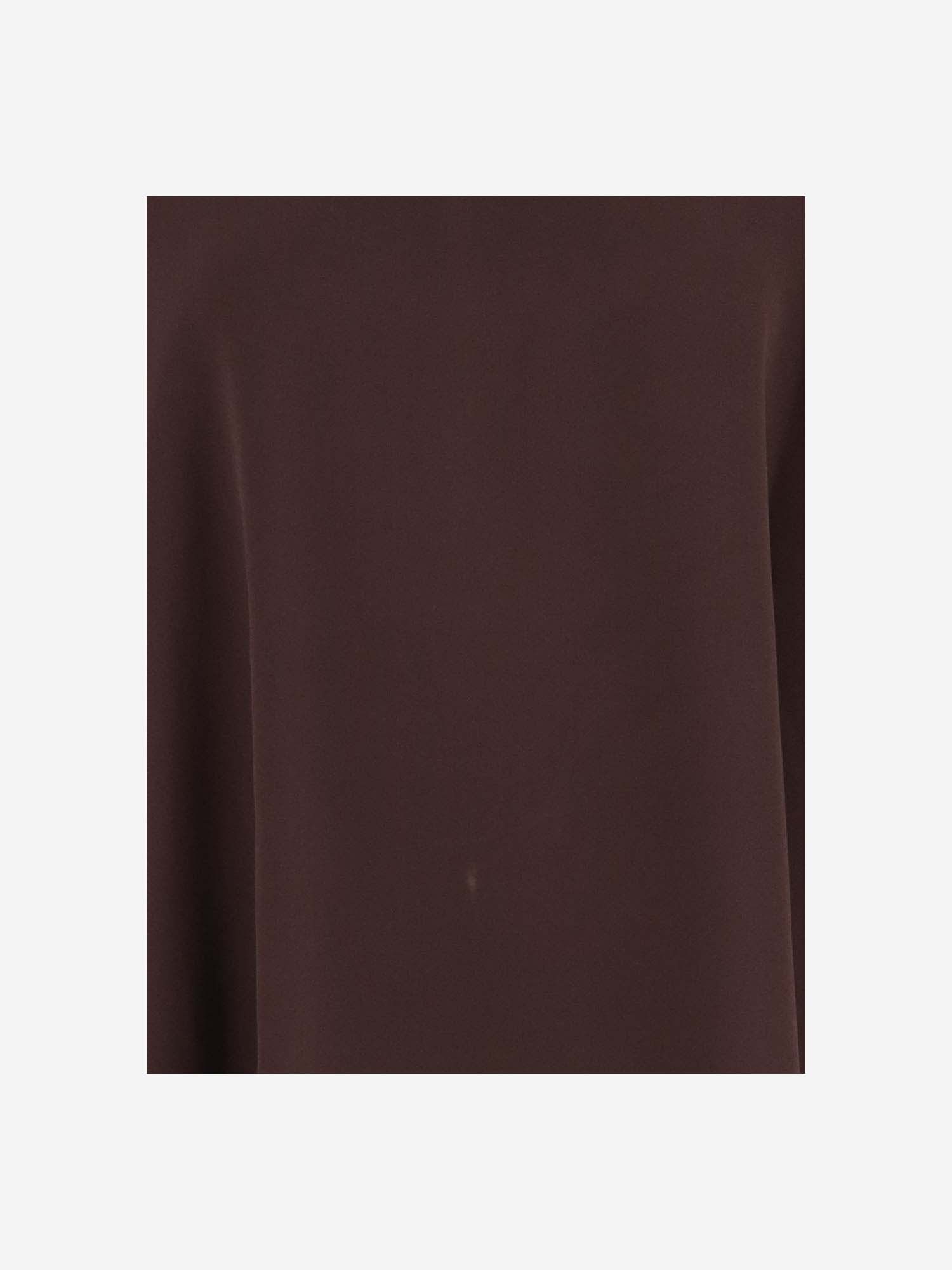 Shop Stephan Janson Blouse In Silk In Brown